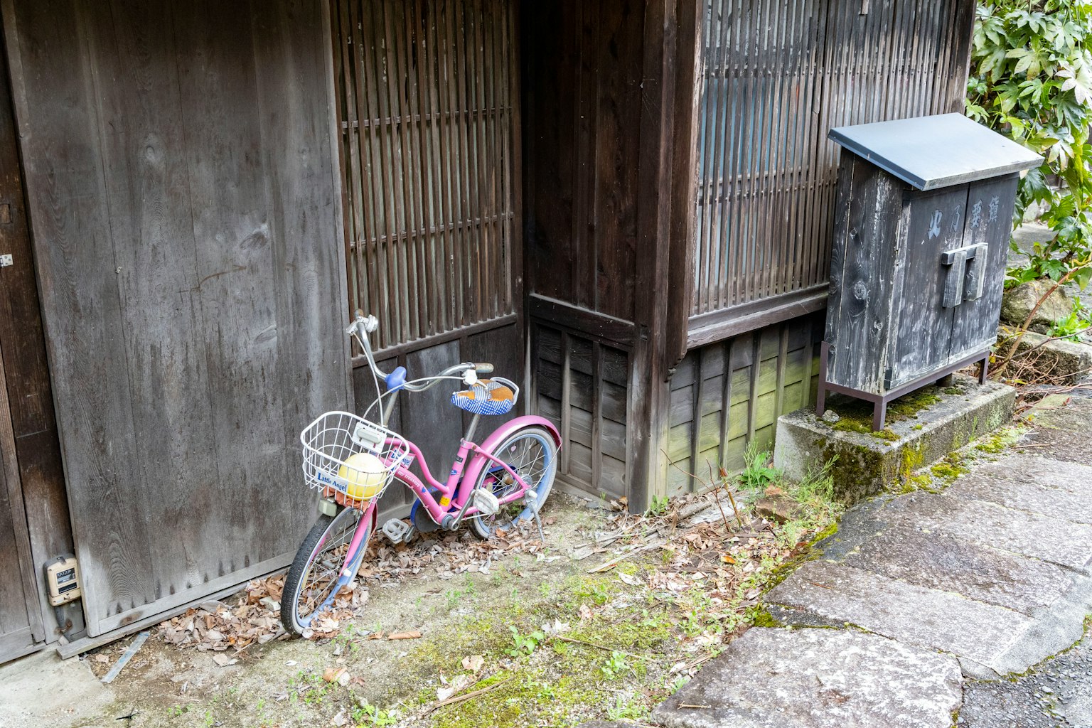 Bicicletta rosa parcheggiata accanto a una vecchia casa di legno e a una scatola di legno