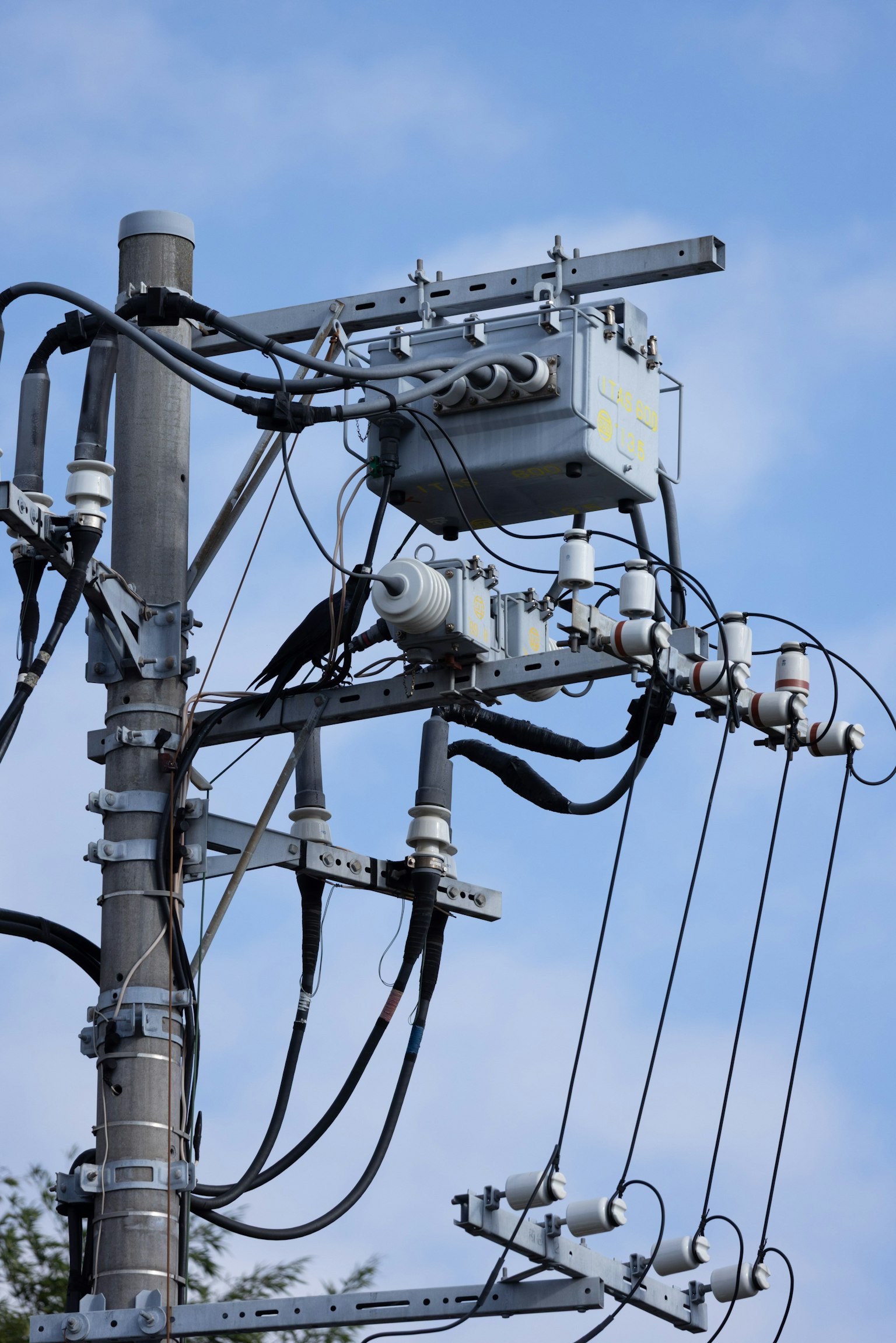 Vue détaillée des équipements électriques et du câblage sur un poteau électrique
