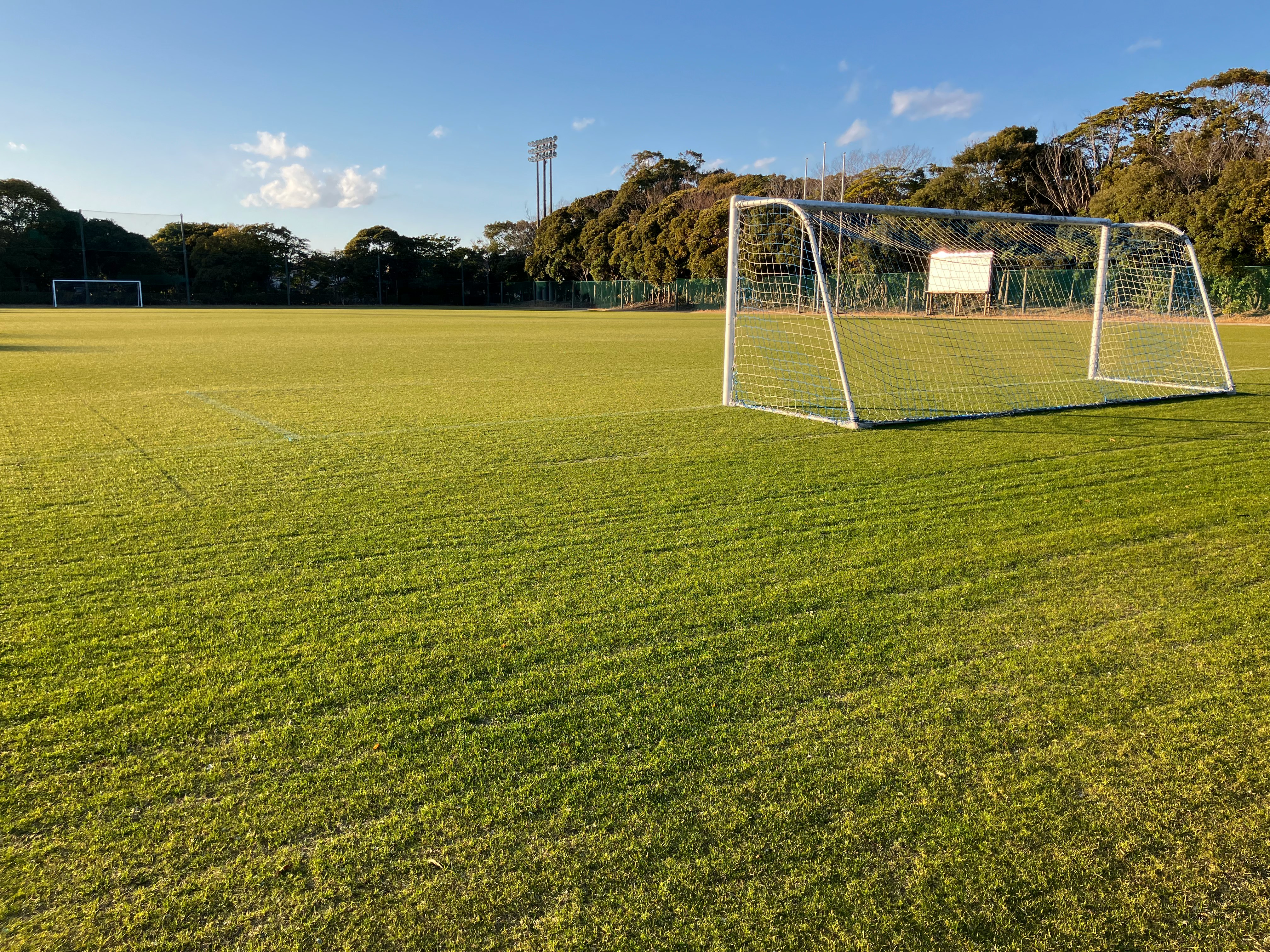 Fußballfeld mit Tor und üppigem grünem Gras