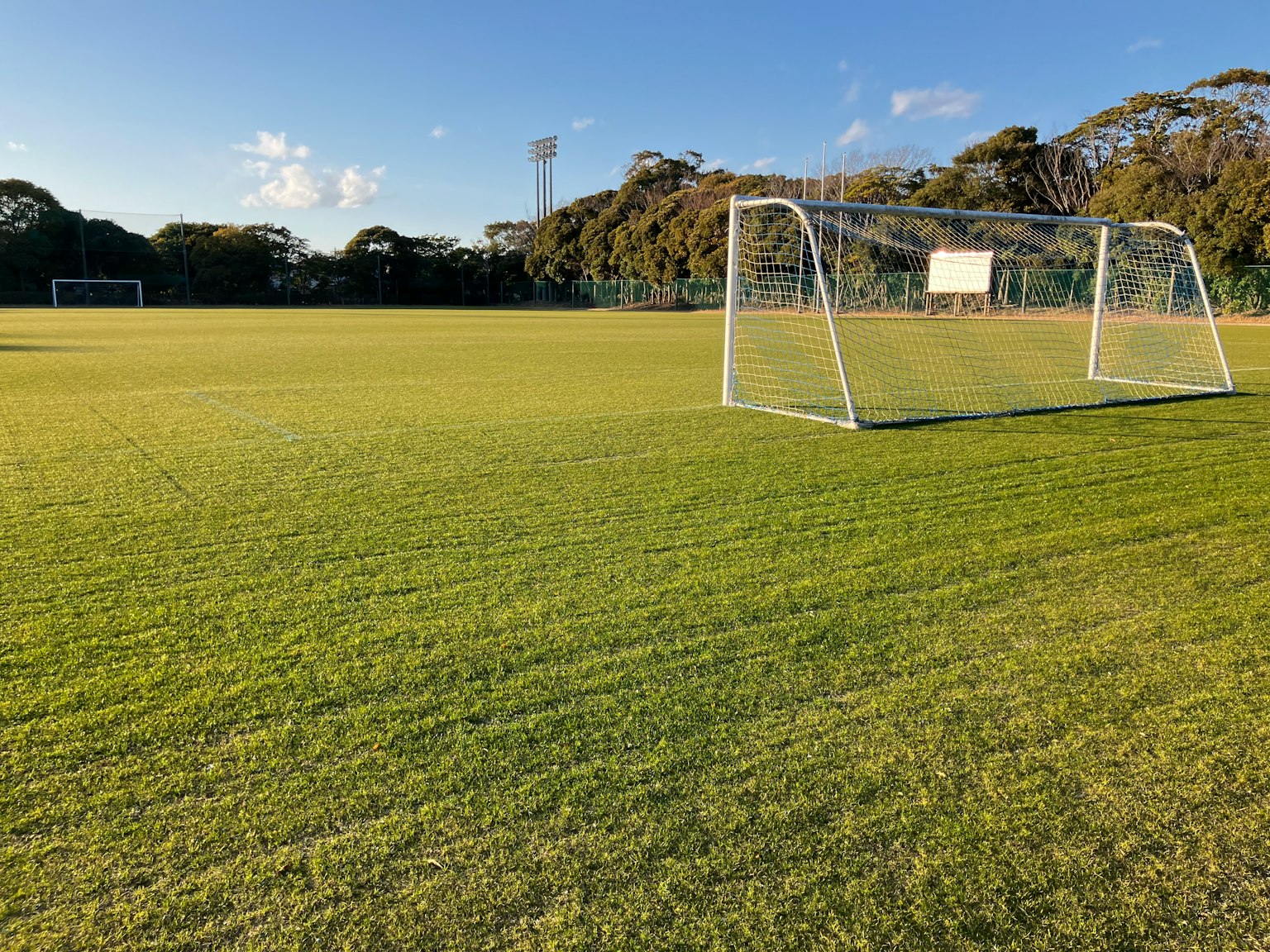 Campo da calcio con una rete e erba verde lussureggiante