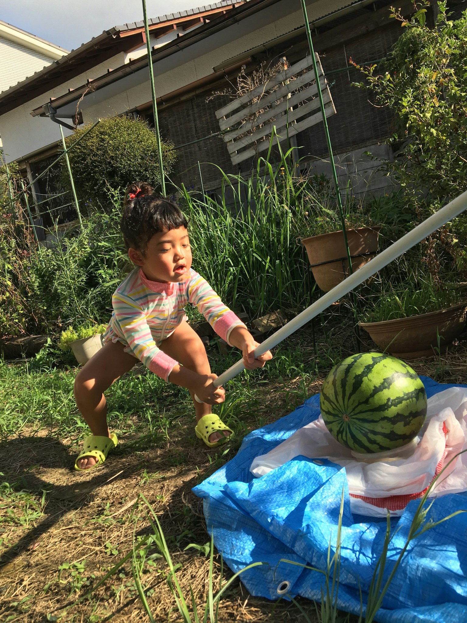 Kind versucht, eine Wassermelone zu schlagen