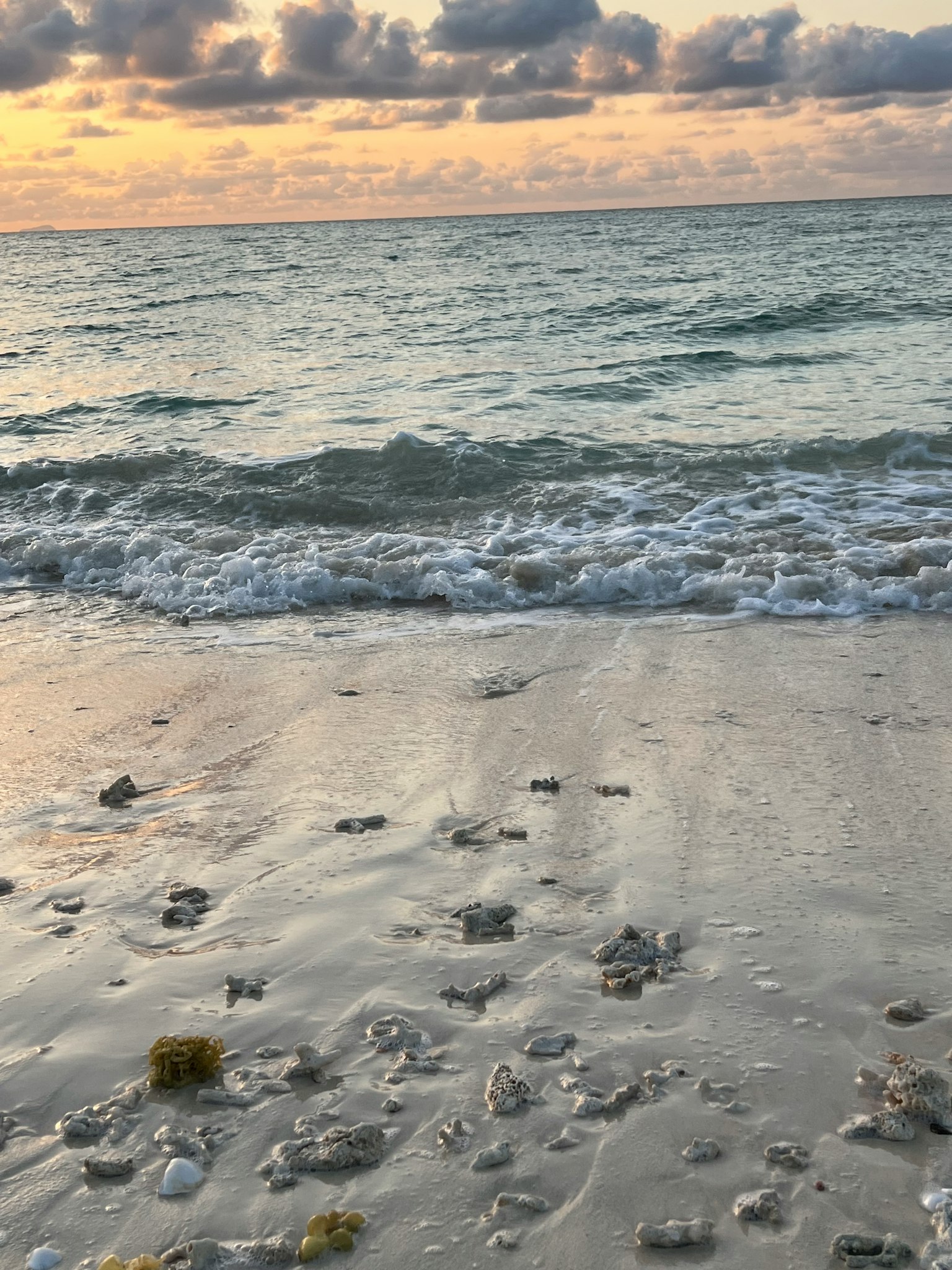 Scena di spiaggia serena con onde gentili e conchiglie al tramonto