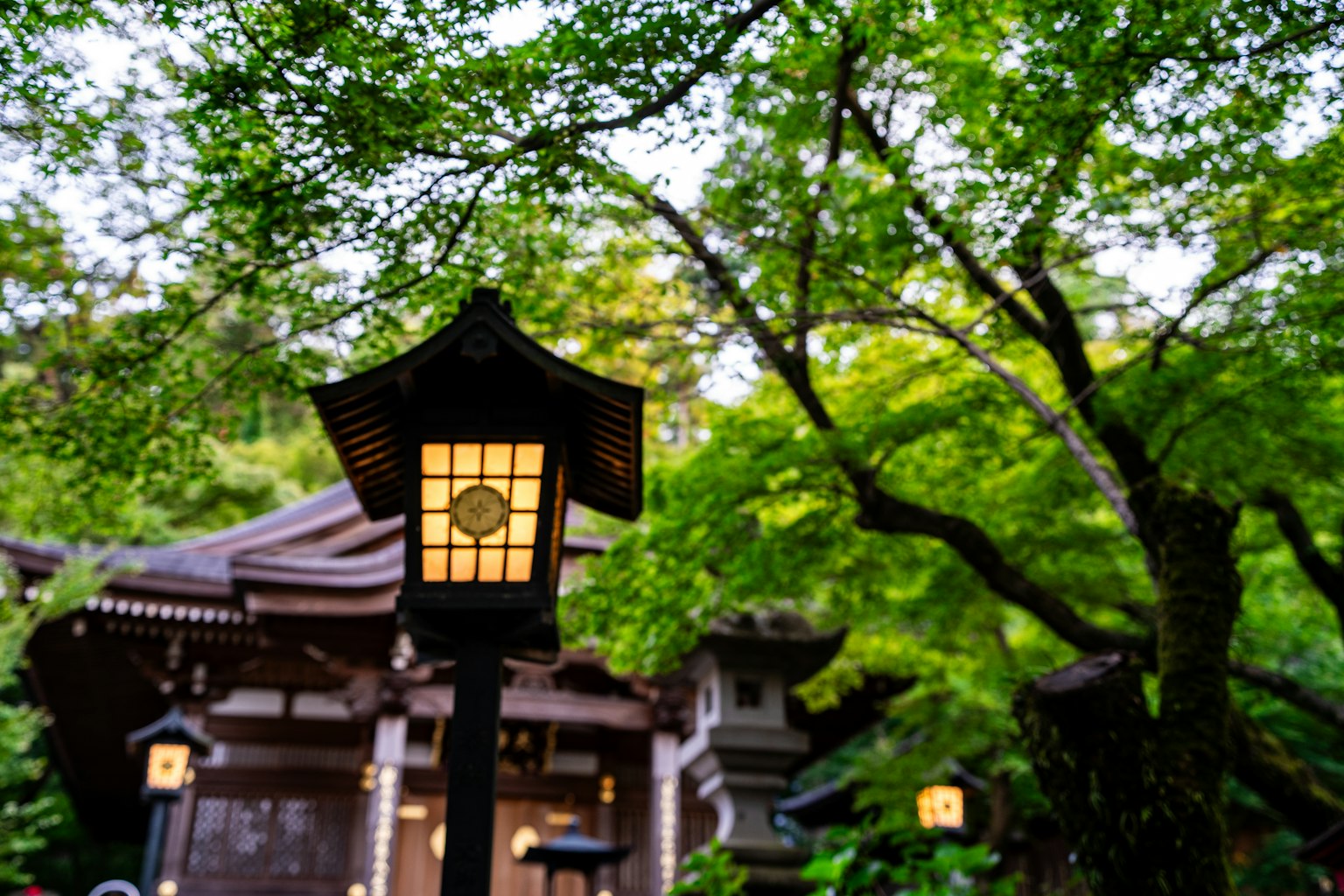 Lanterne japonaise avec architecture traditionnelle et verdure luxuriante