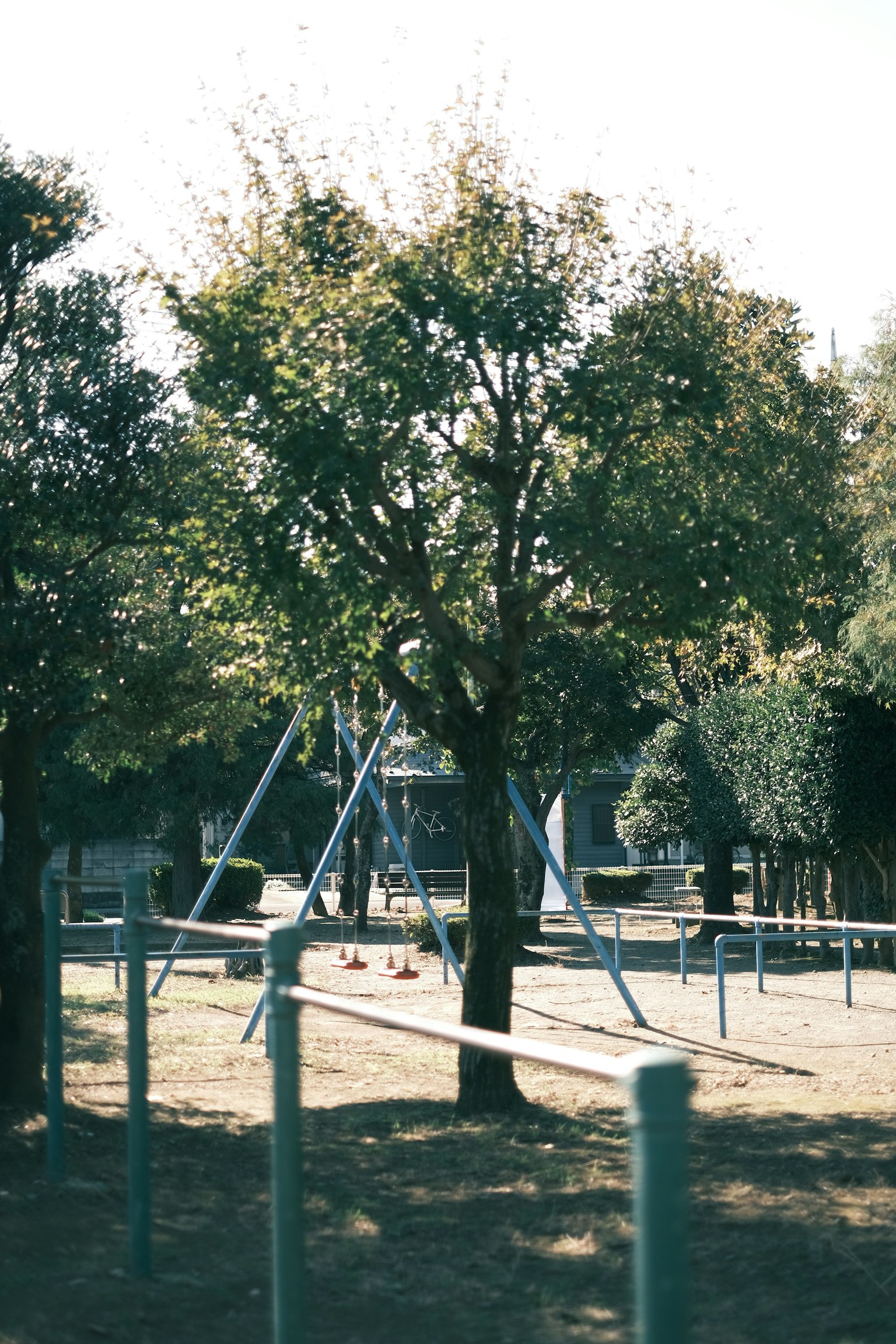 그네와 나무가 있는 공원 풍경