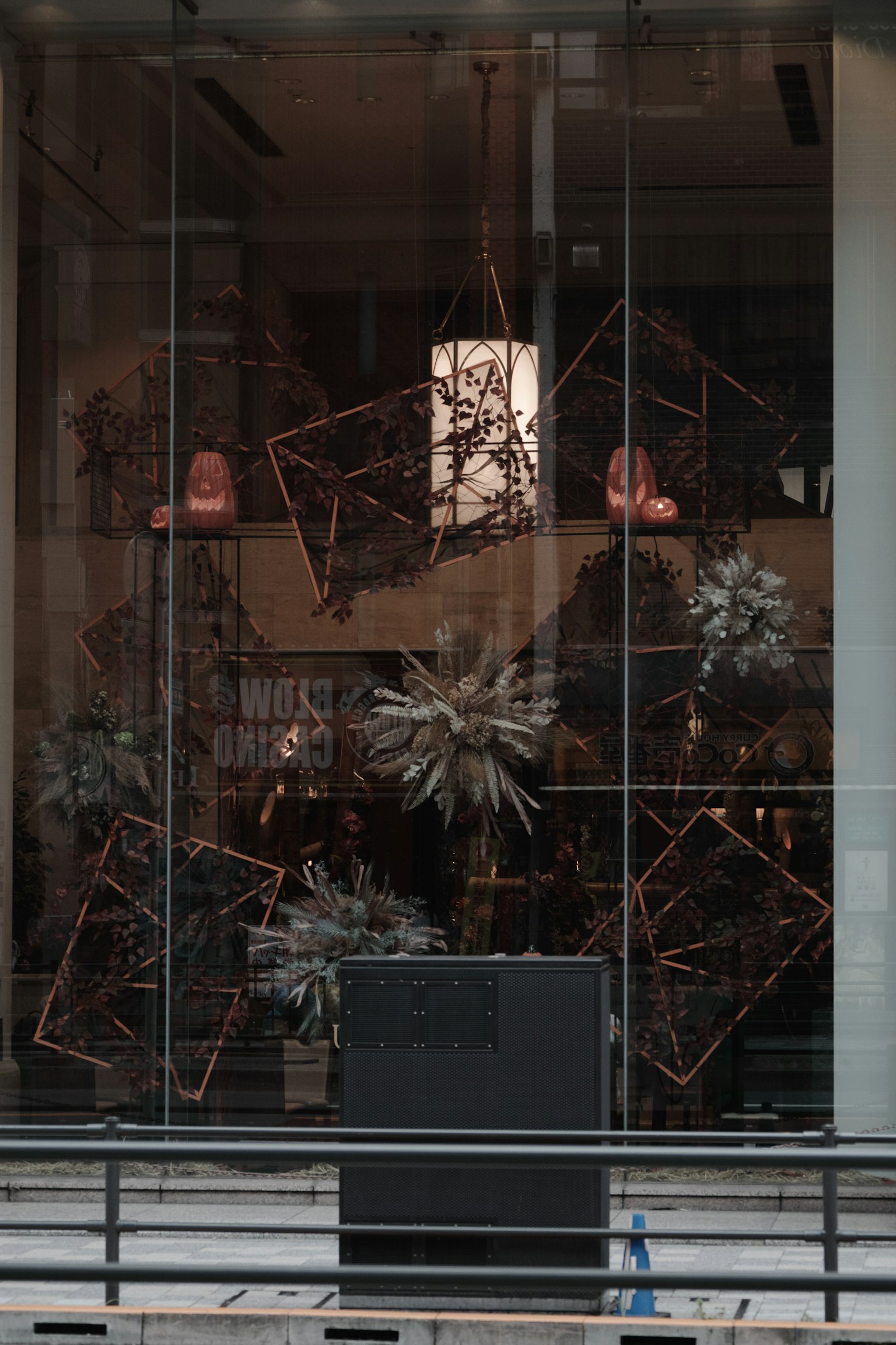 Decorative plants and geometric metal frames in a glass storefront display