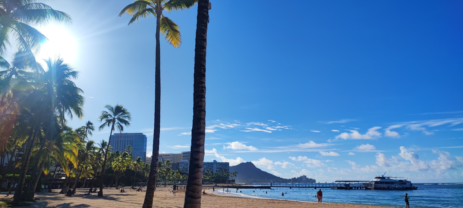 Sunny beach scene with palm trees and a clear blue sky