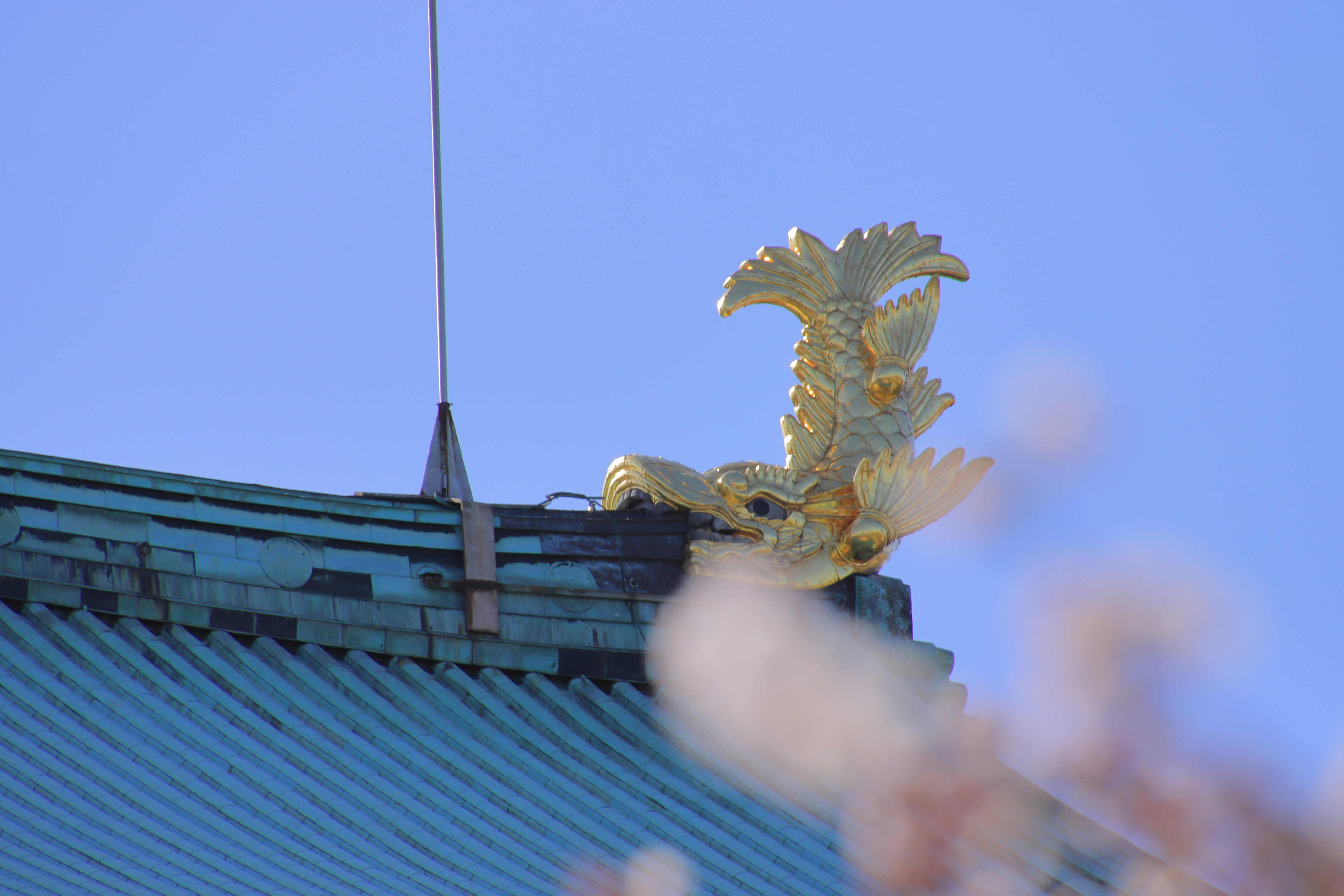 蓝天背景下的屋顶龙形装饰图片