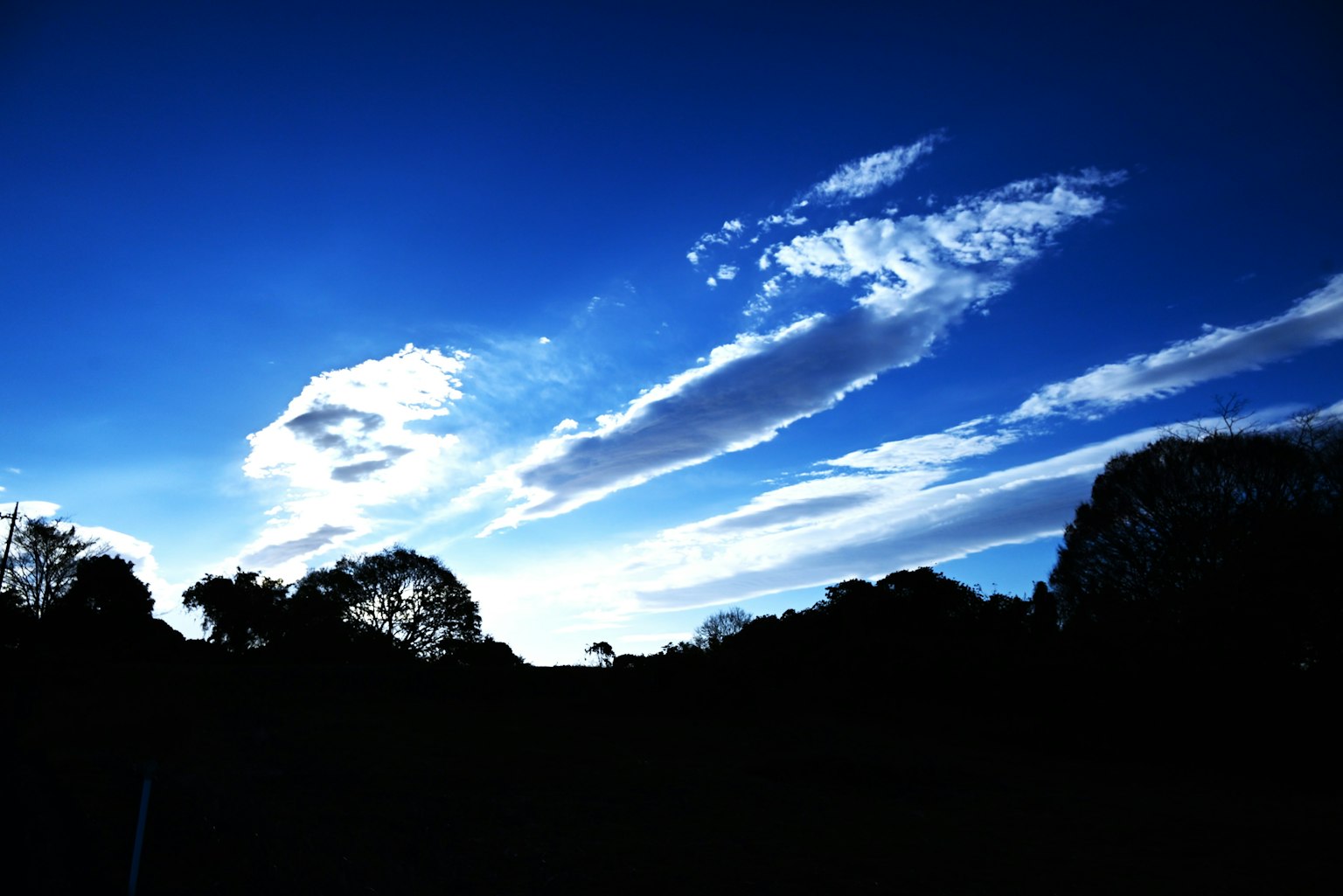 Cây silhouetted trước bầu trời xanh với mây