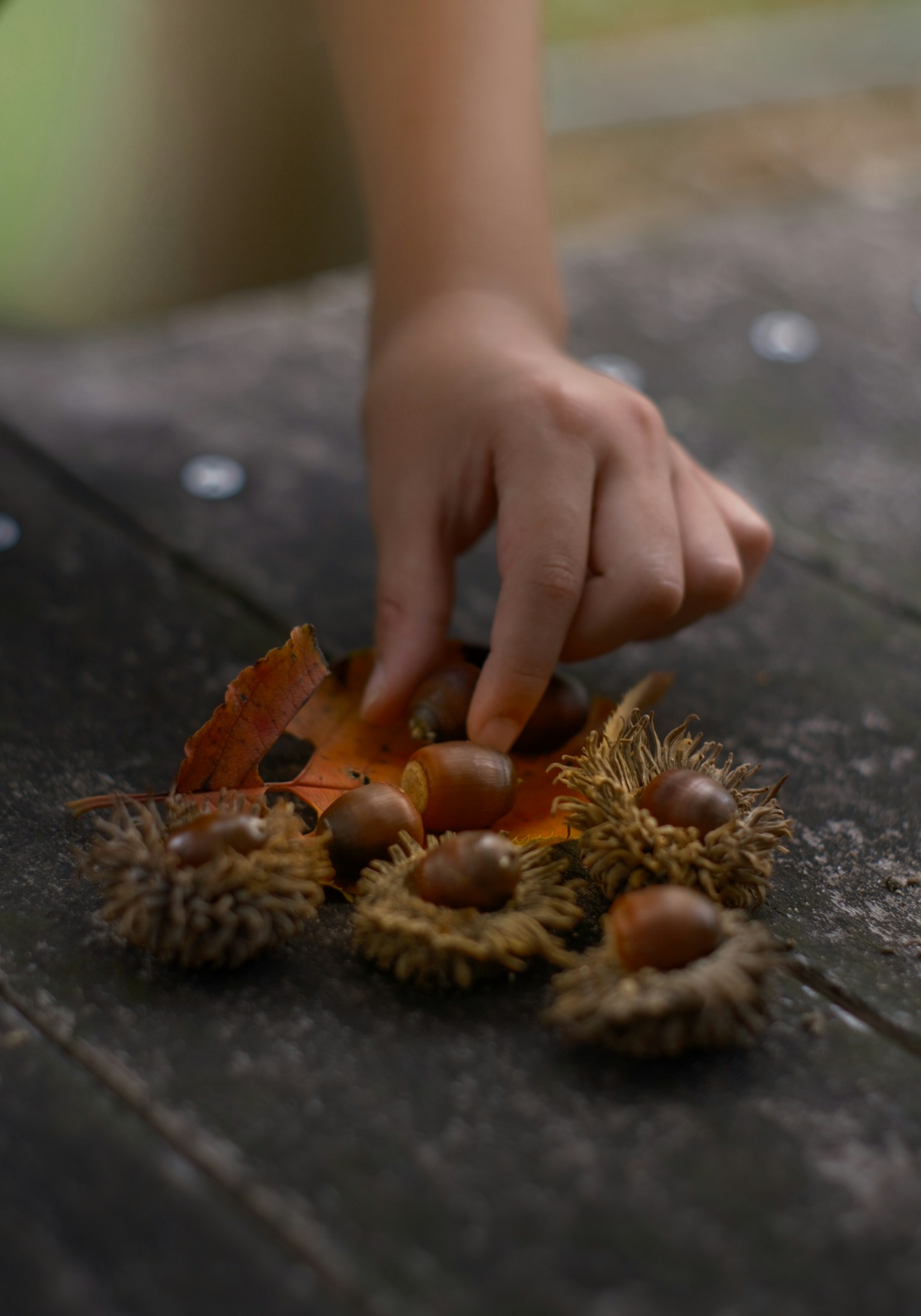 photo-WCbFkgdHn0yJNB23aXXd-image