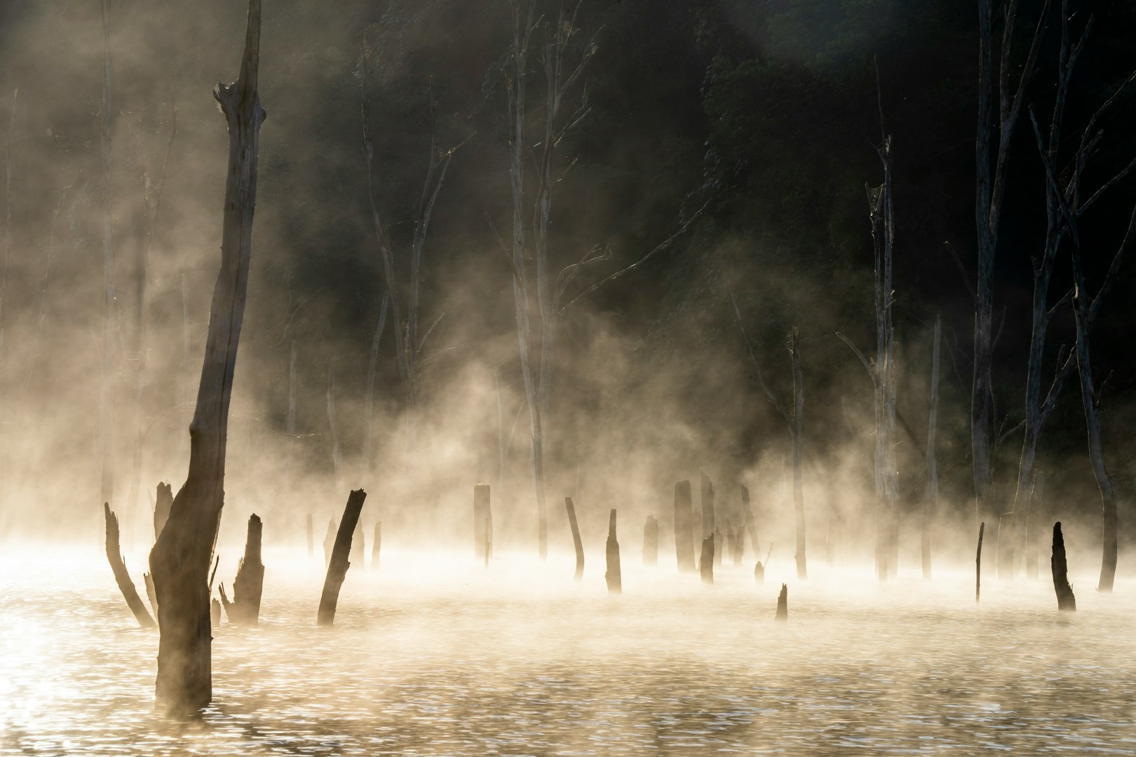 Misty lakeside with silhouetted trees and distant figures