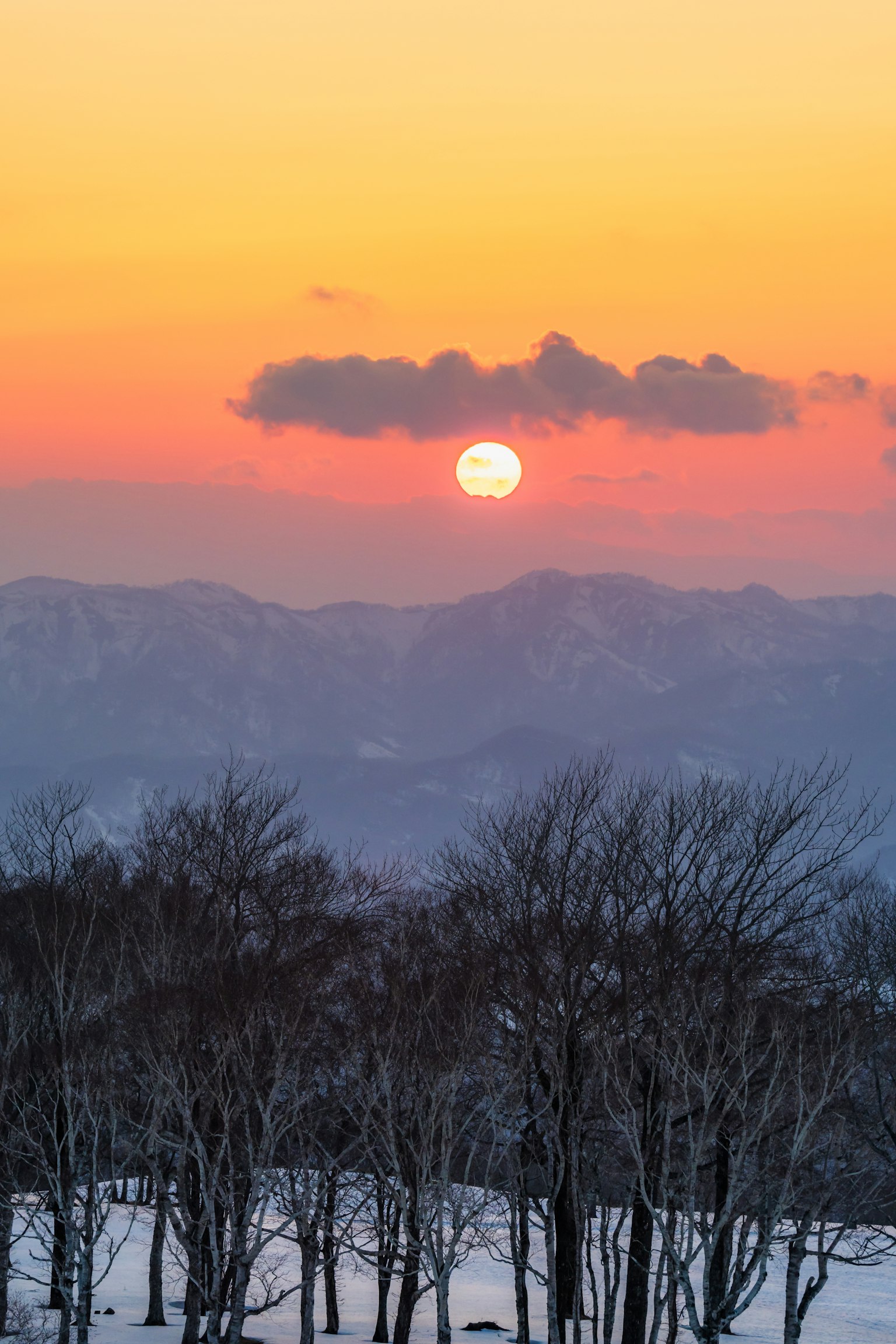 Beautiful landscape with sunset behind mountains snowy trees and orange sky