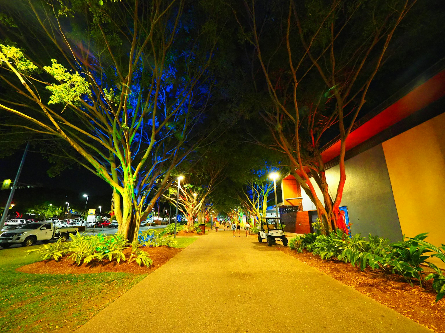 Alberi colorati e lampioni luminosi lungo un sentiero di parco di notte