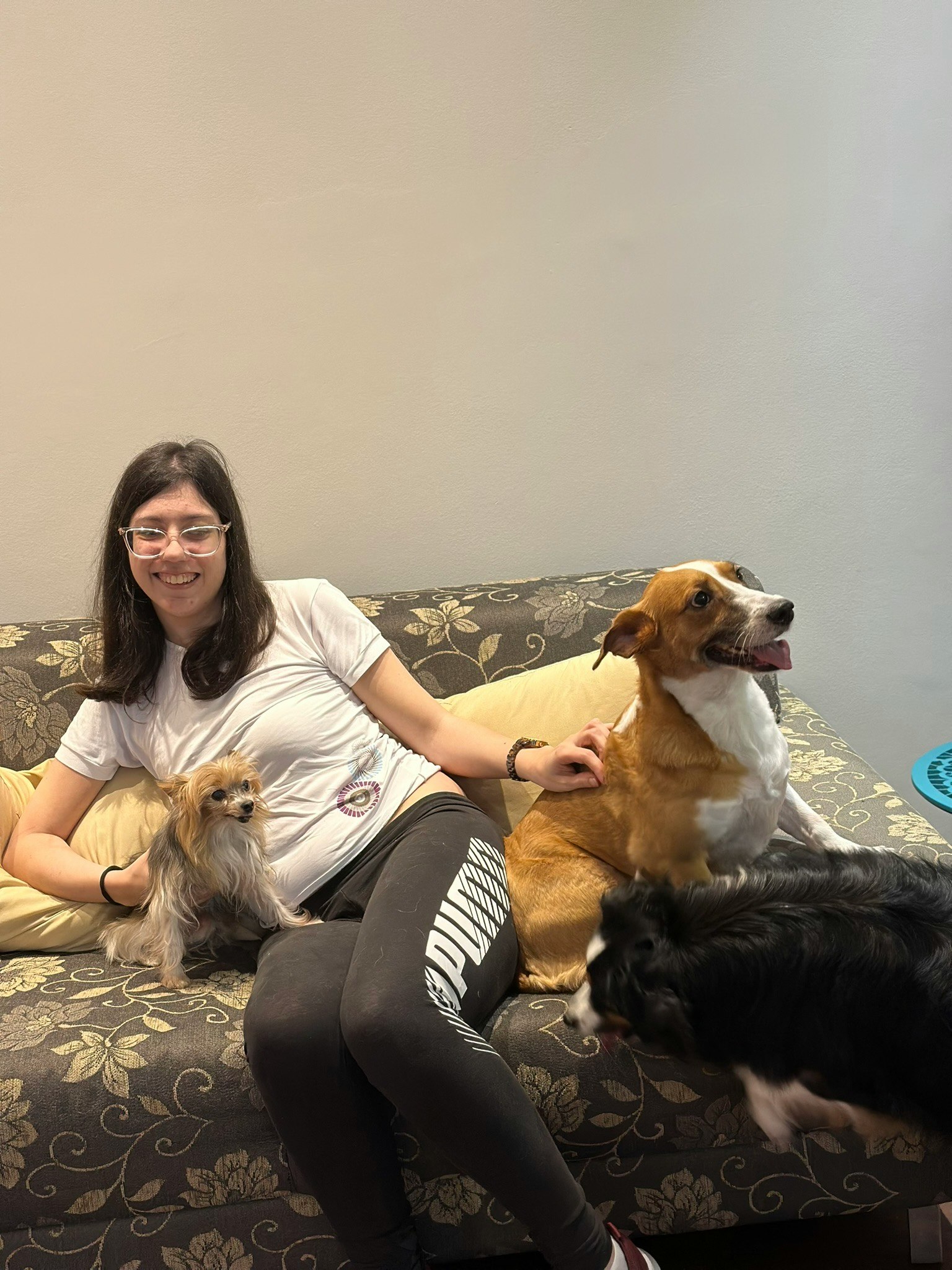 woman relaxing on a sofa with dogs