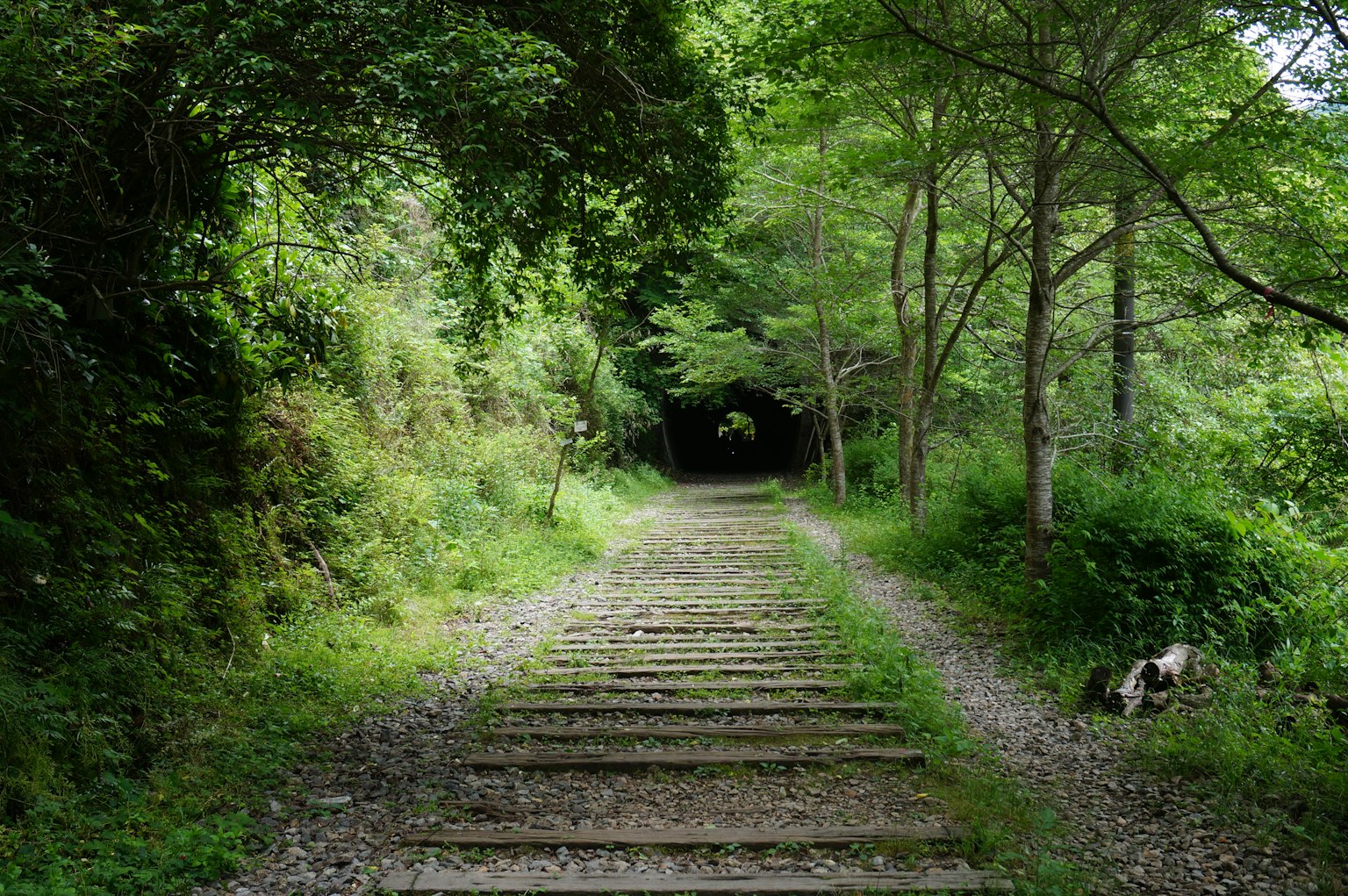 Sentier en bois entouré de verdure menant à l'entrée d'un tunnel