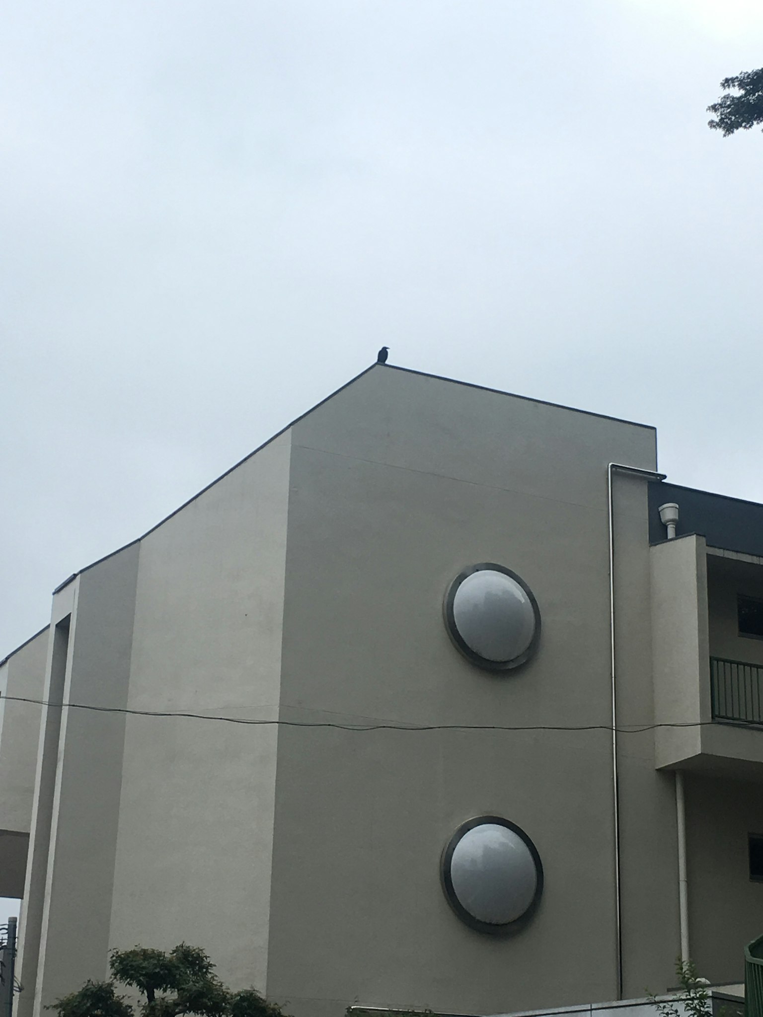 Un uccello appollaiato sul tetto di un edificio moderno sotto un cielo grigio