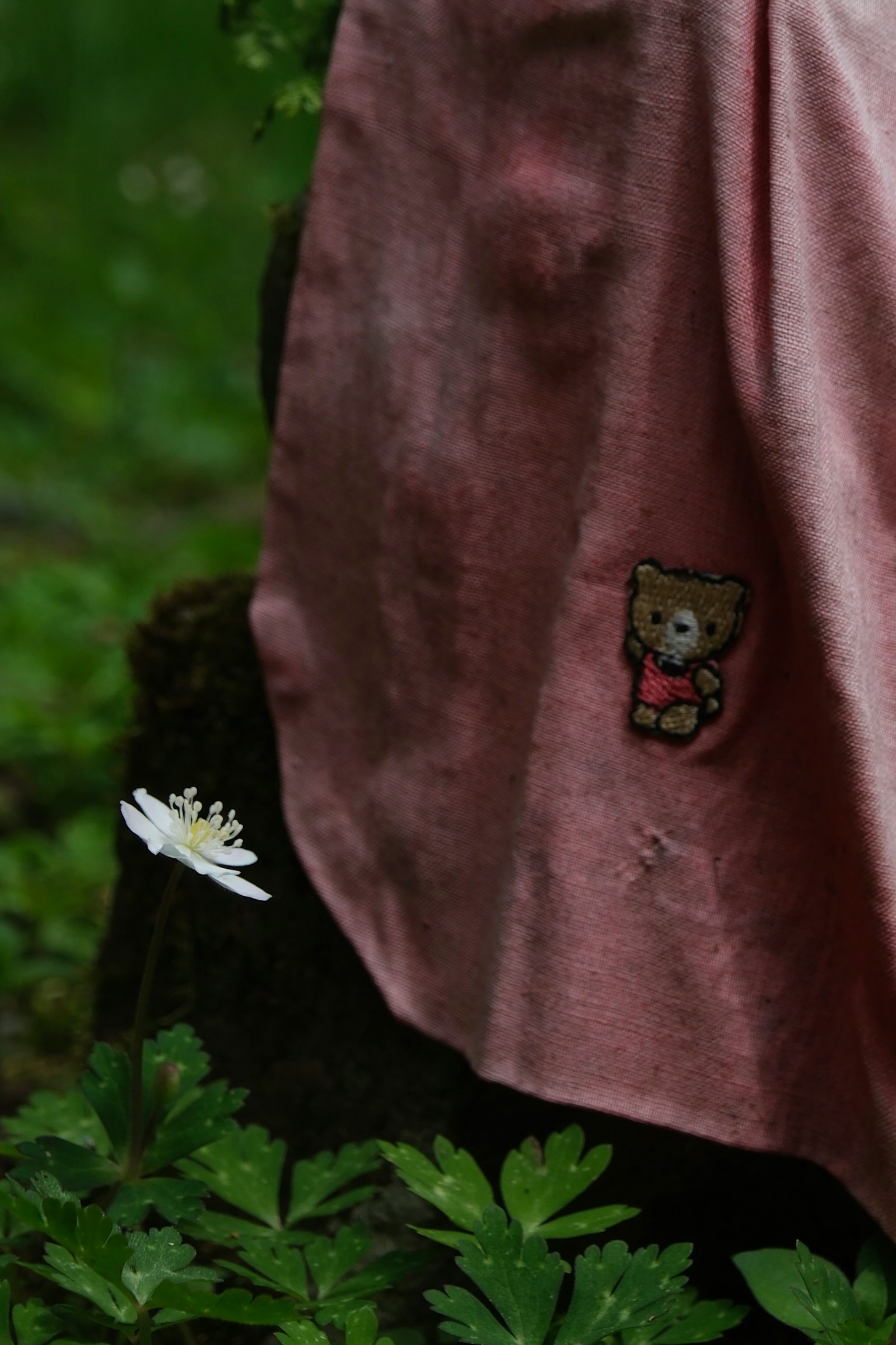 A section of pink fabric surrounded by green plants with a small white flower