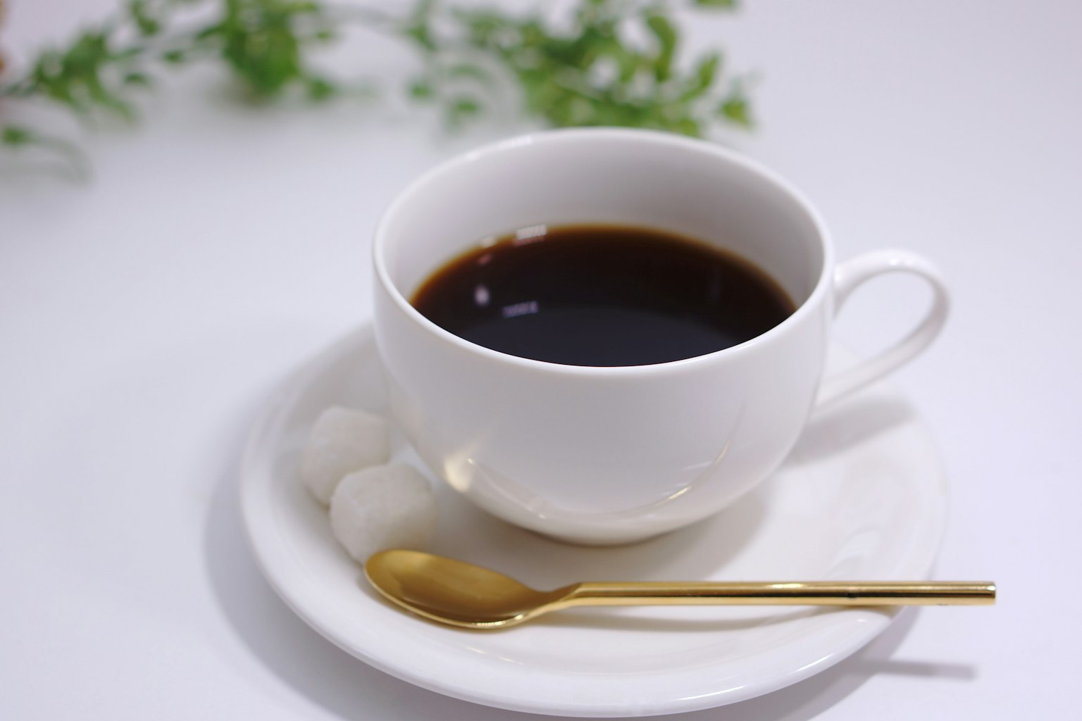 白色杯中的黑咖啡配金色勺子 白色盘子上的两个团子 背景有绿色植物