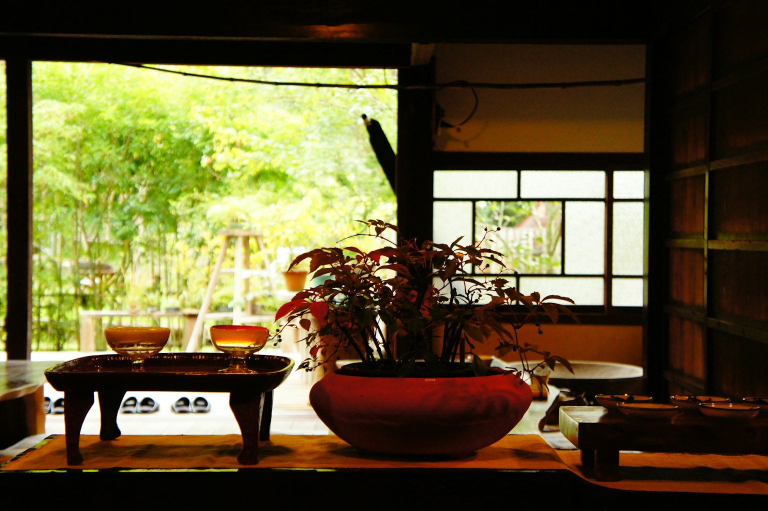 室内景观，展示传统日本环境中的植物和茶具