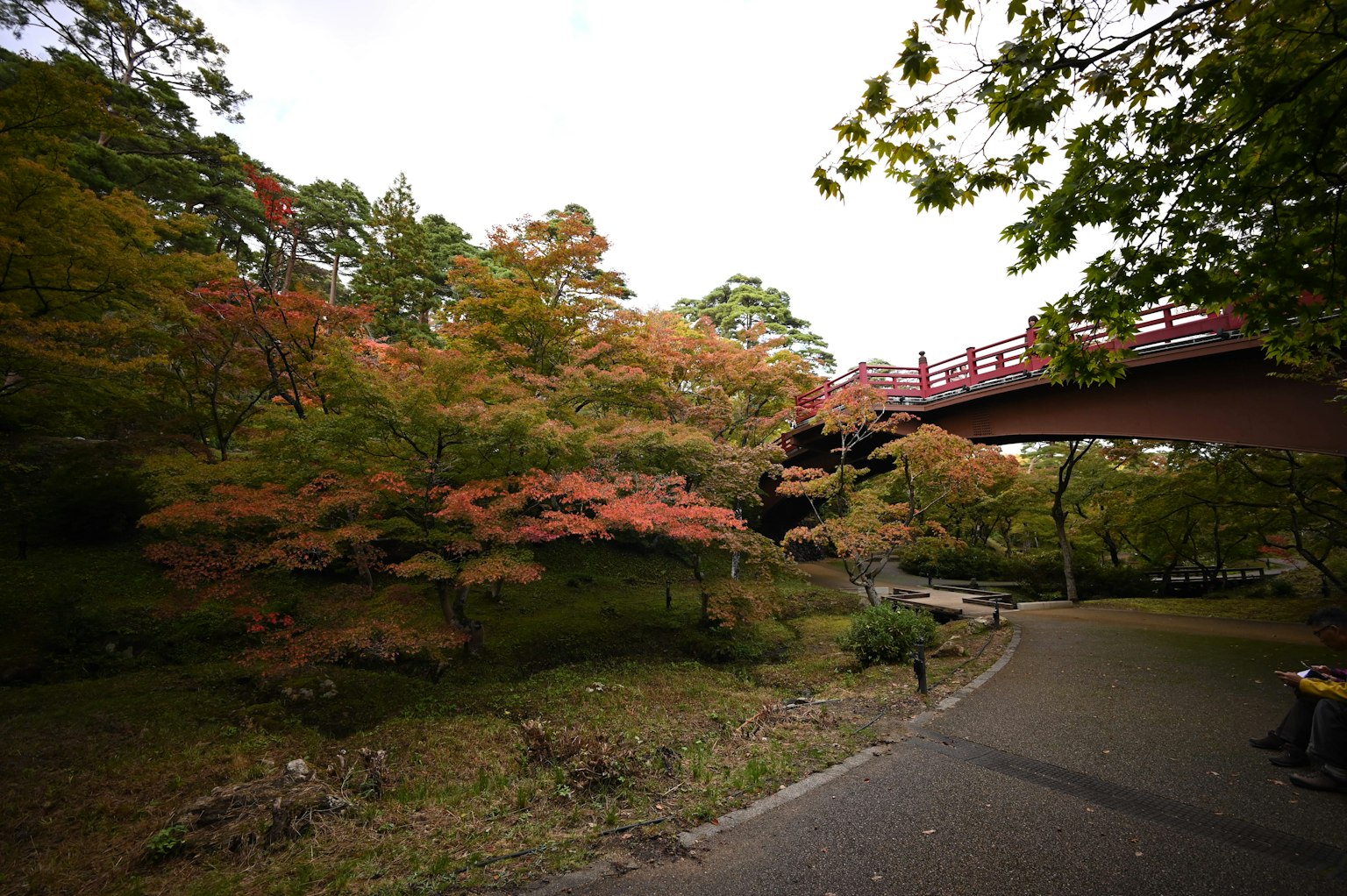 公園景色，秋天的葉子和紅色橋樑