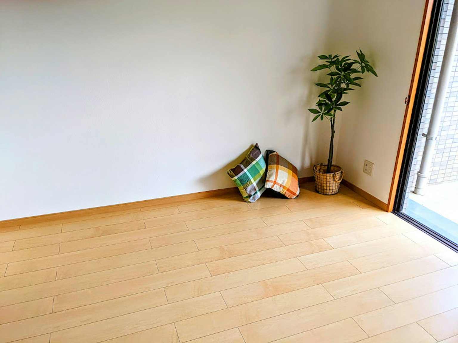 Une pièce simple avec des coussins et une plante en pot