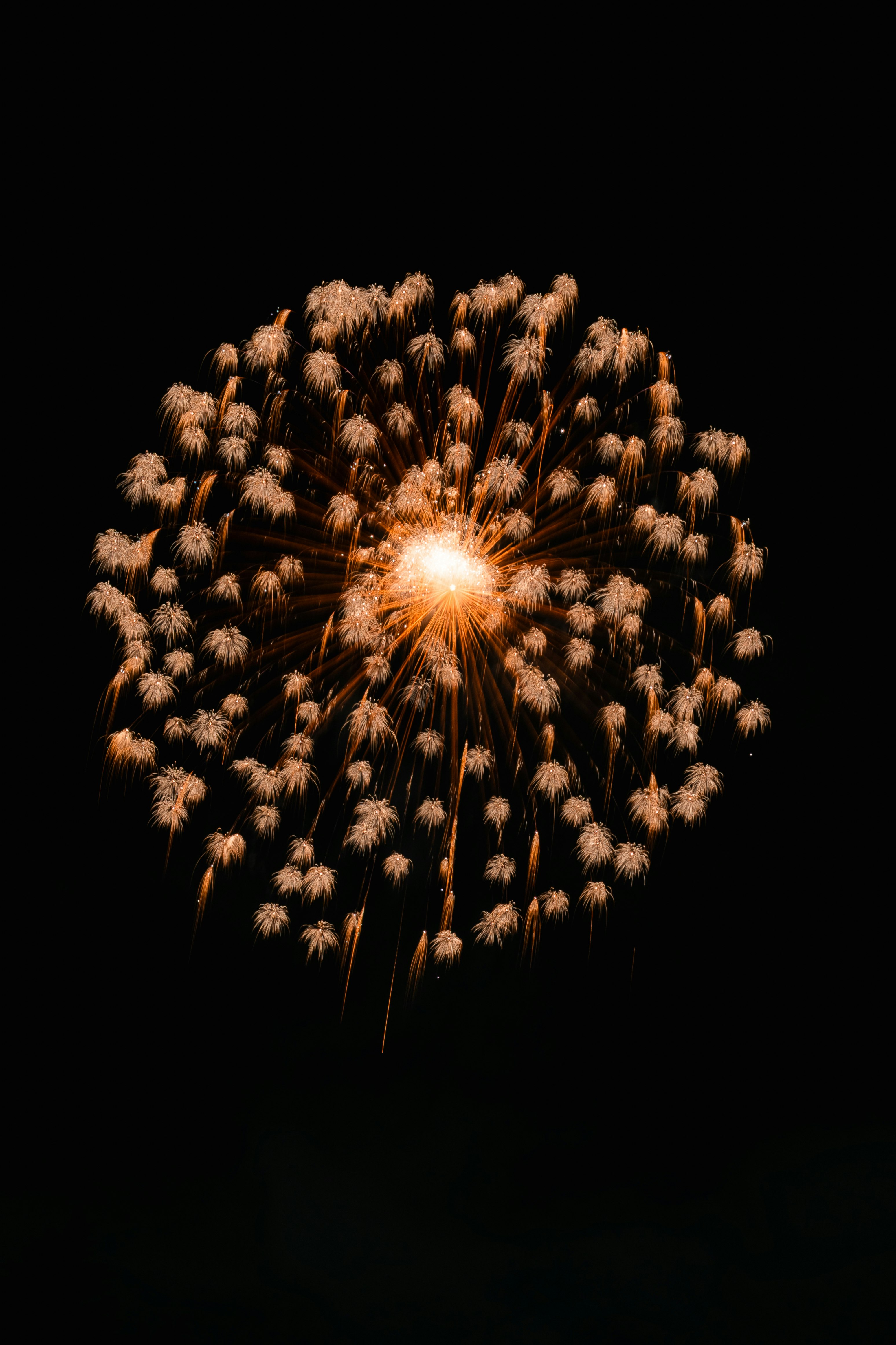 a fireworks burst blooming against a dark background