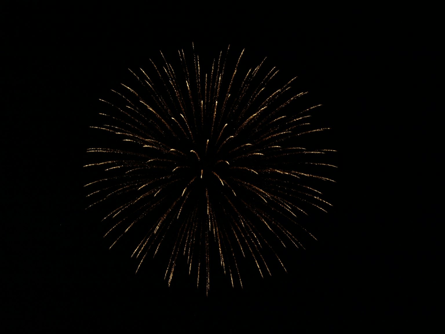 Explosion de feux d'artifice sur fond noir