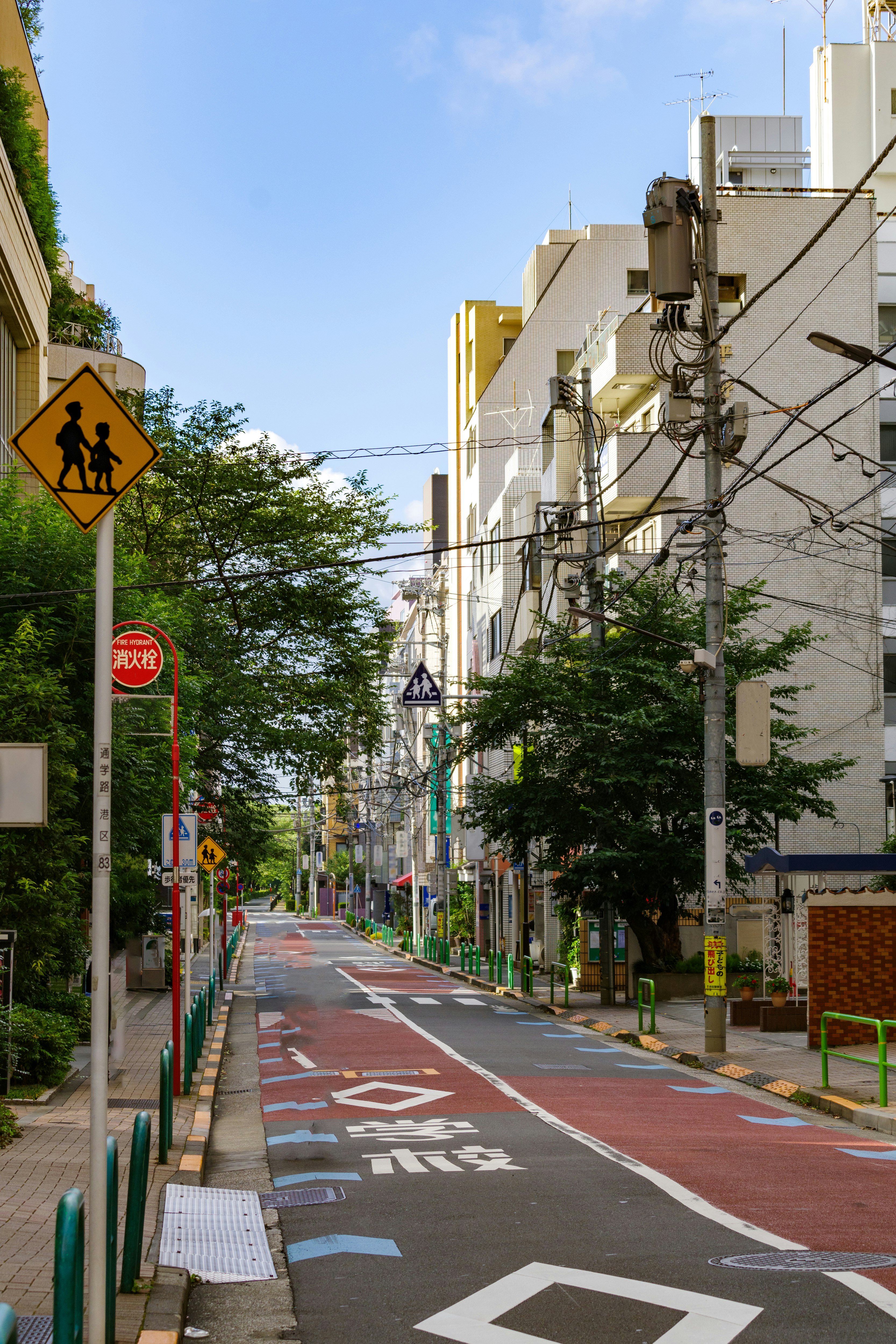 有自行車道與行人標示的街景