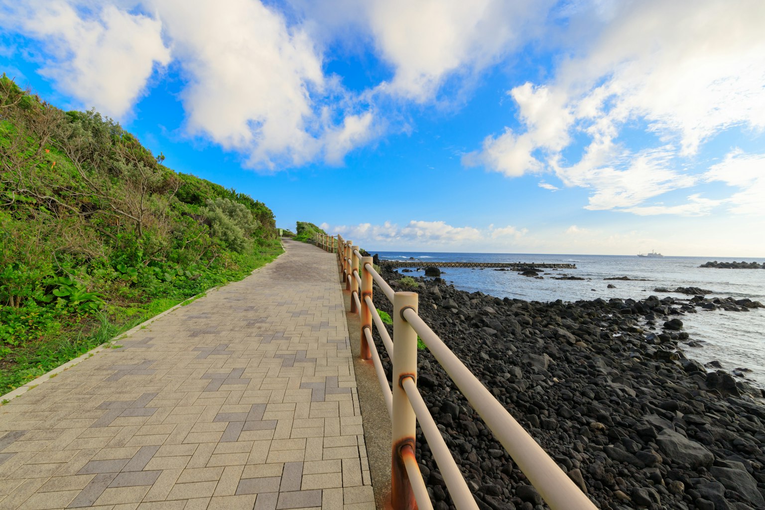 沿海岸的風景步道 藍天與綠色丘陵