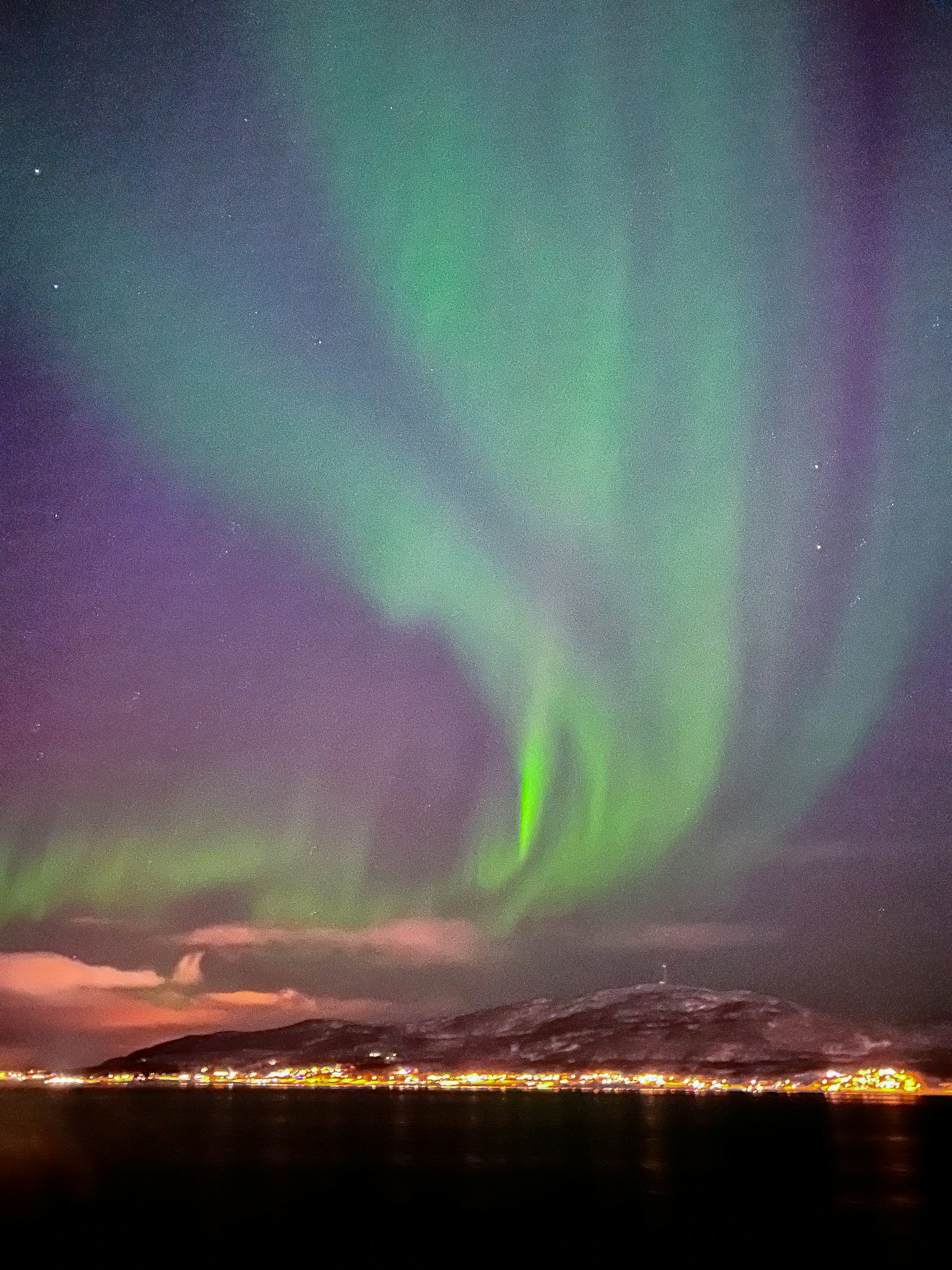 Schöne Aurora erhellt den Nachthimmel
