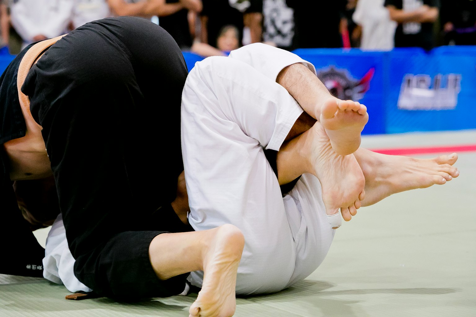 Scene of athletes grappling during a judo match