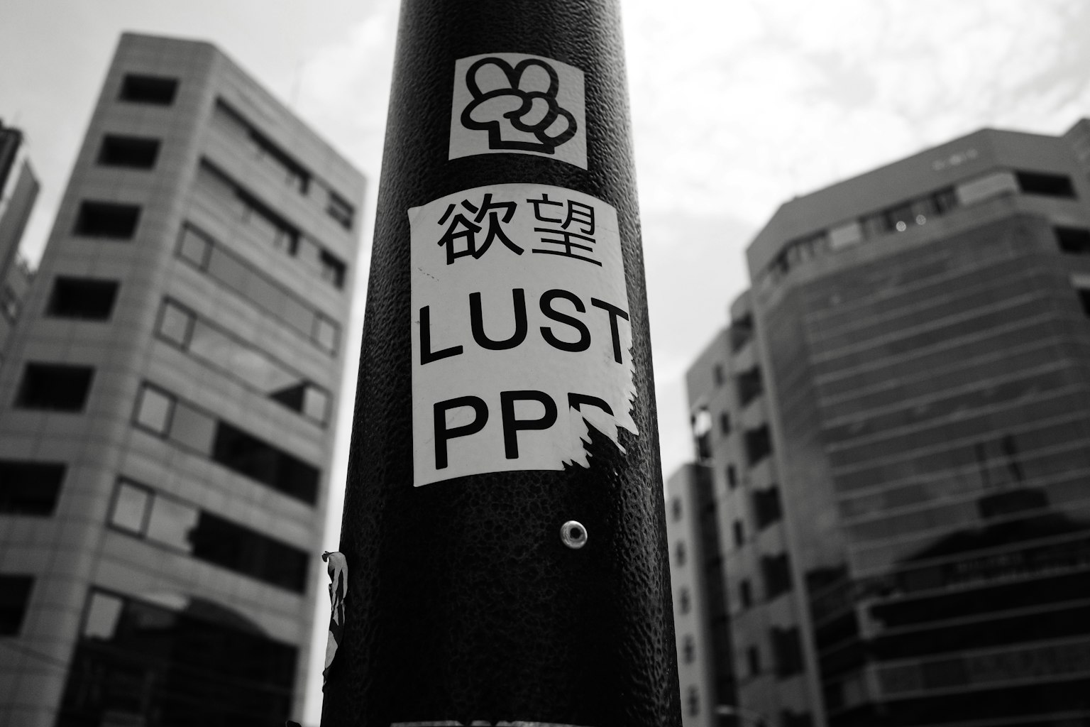 黑色柱子上的标签写着欲望和LUST，背景是城市建筑
