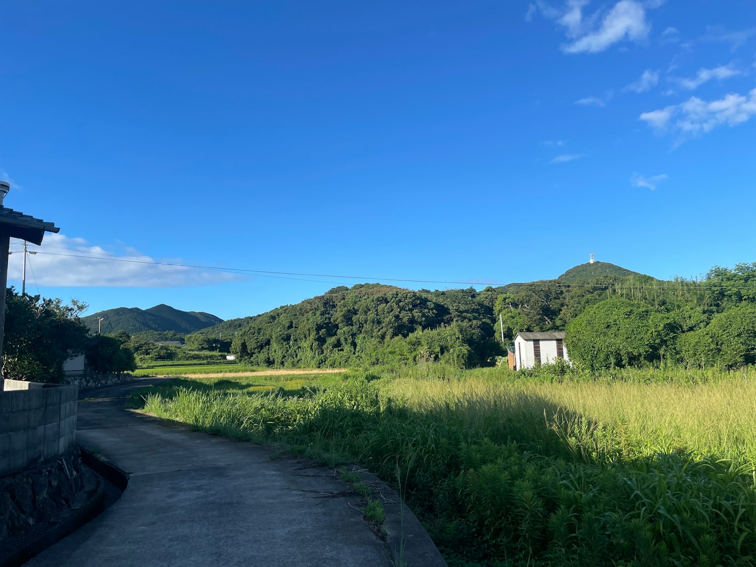 Rural landscape with blue sky and green hills House along the path with rice fields