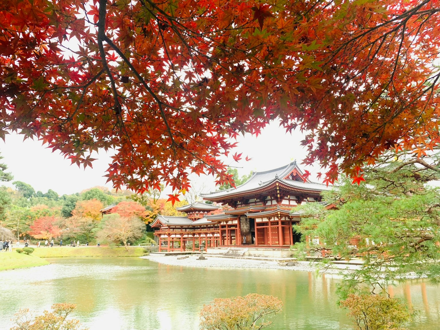 Traditional Japanese building surrounded by vibrant autumn leaves and a serene pond