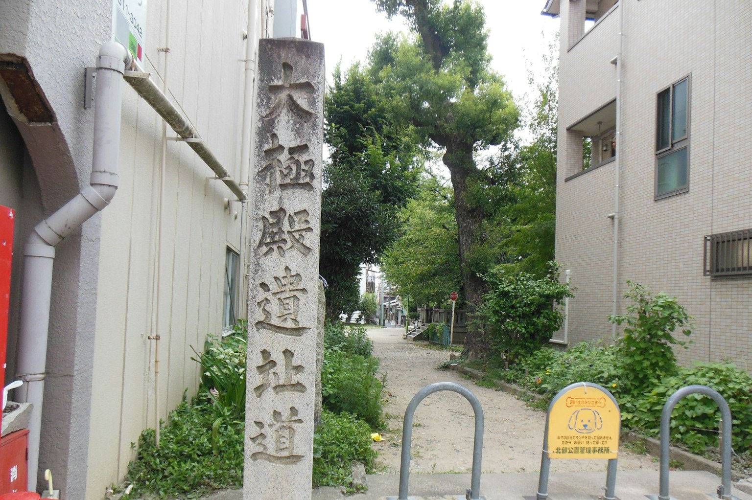 狭窄街道上有标志和茂密的绿树