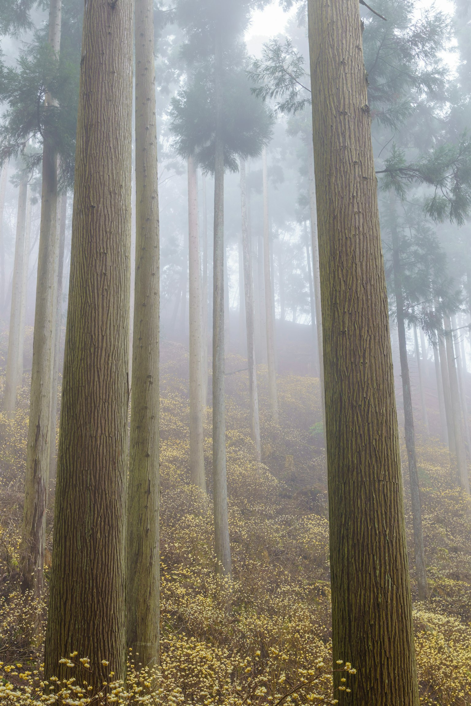 photo-WHysKT3QlGtWgIOVGK9L-image