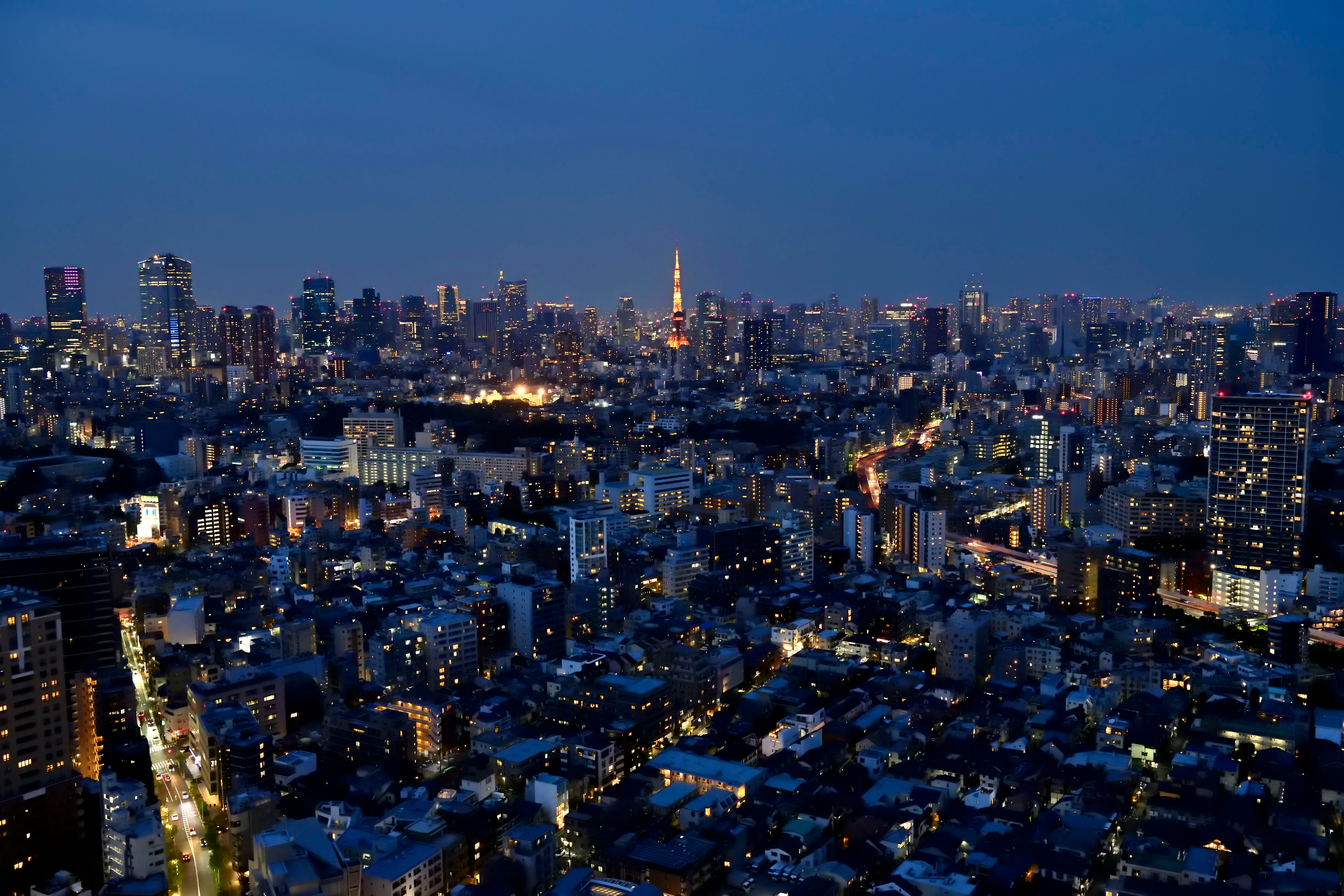 panorama dello skyline cittadino notturno