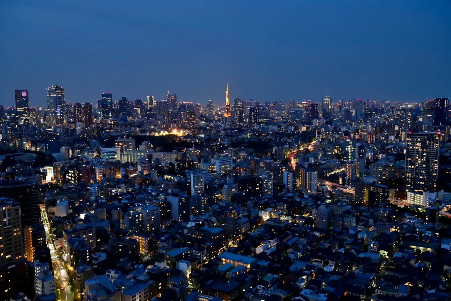 Panoramic view of Tokyo's cityscape at night