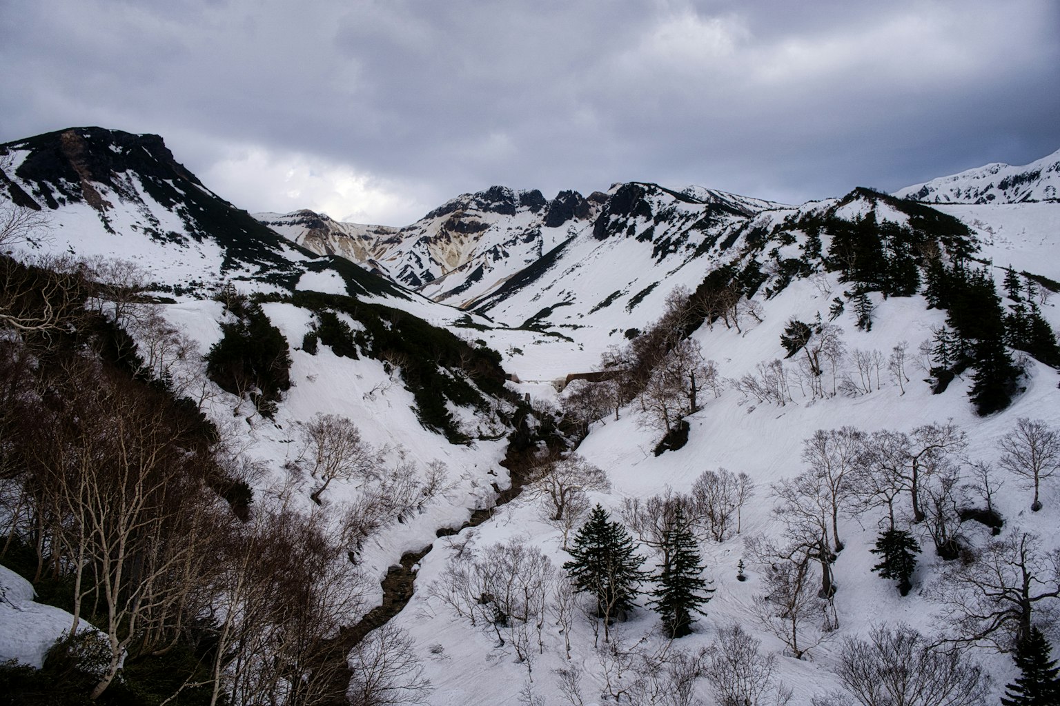 雪覆蓋的山脈和山谷景觀