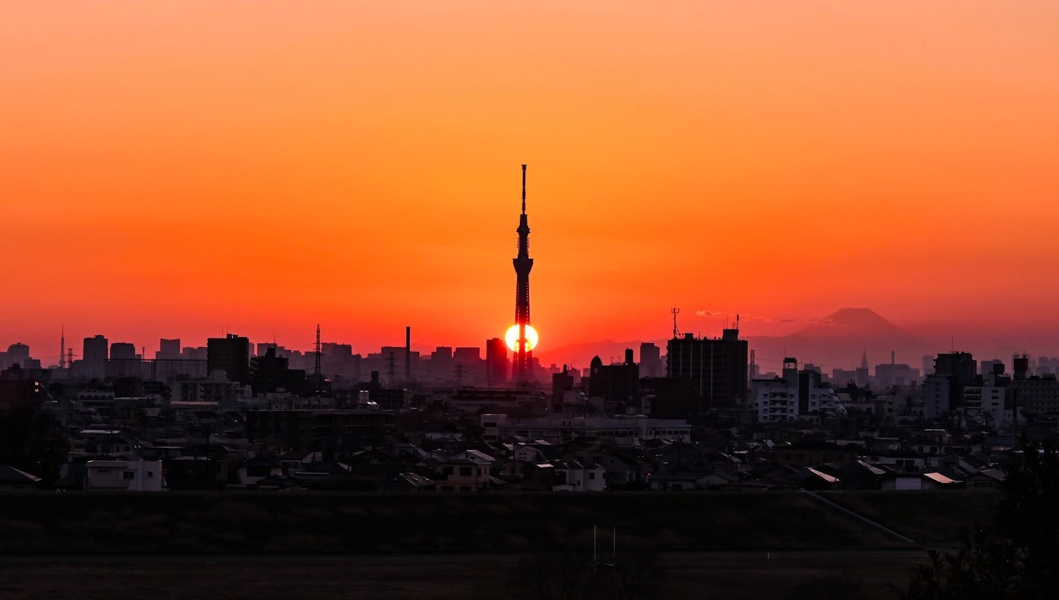 东京天空树在生动的日落背景下的轮廓