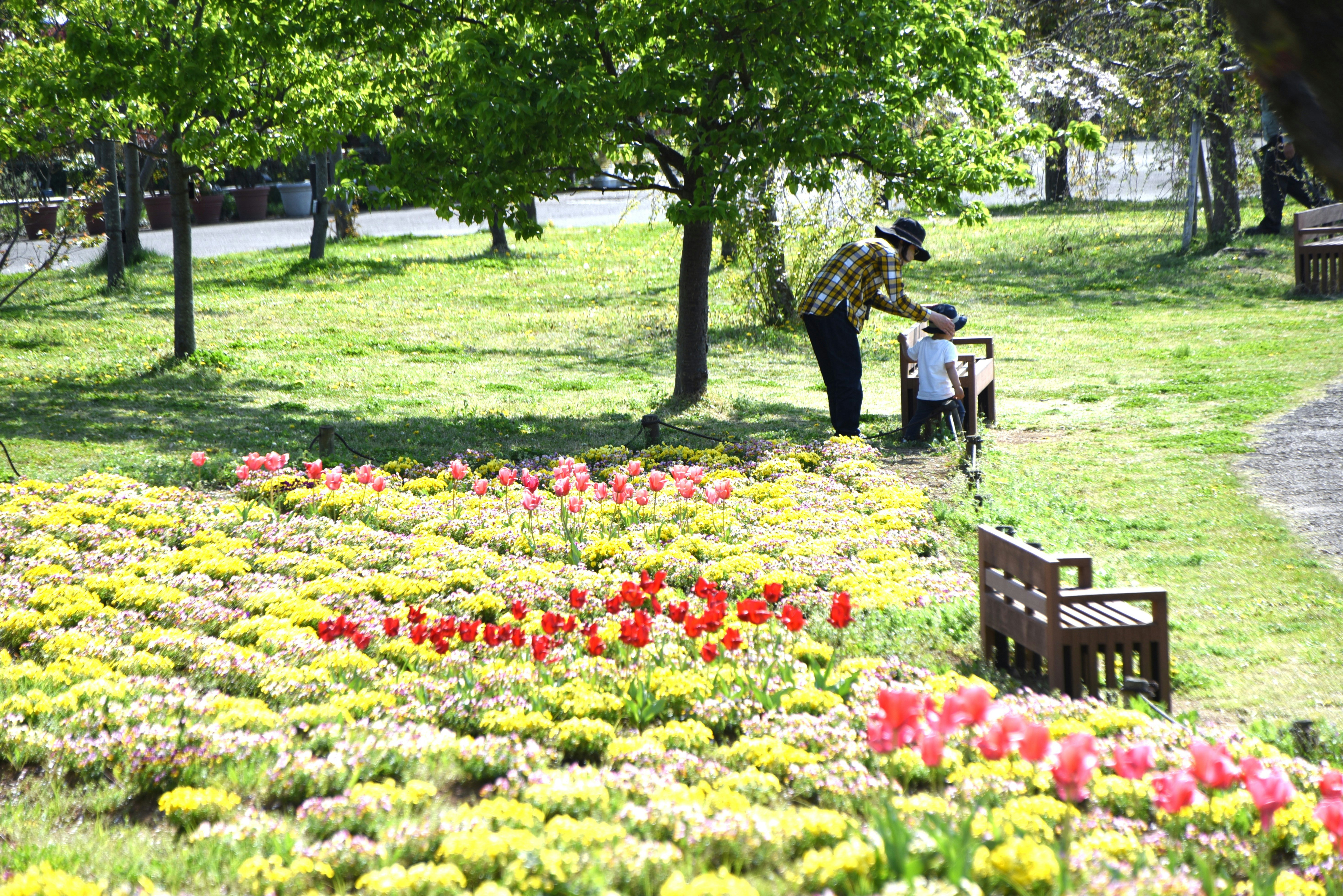 a parent and child sitting on a bench in a botanical garden flower bed