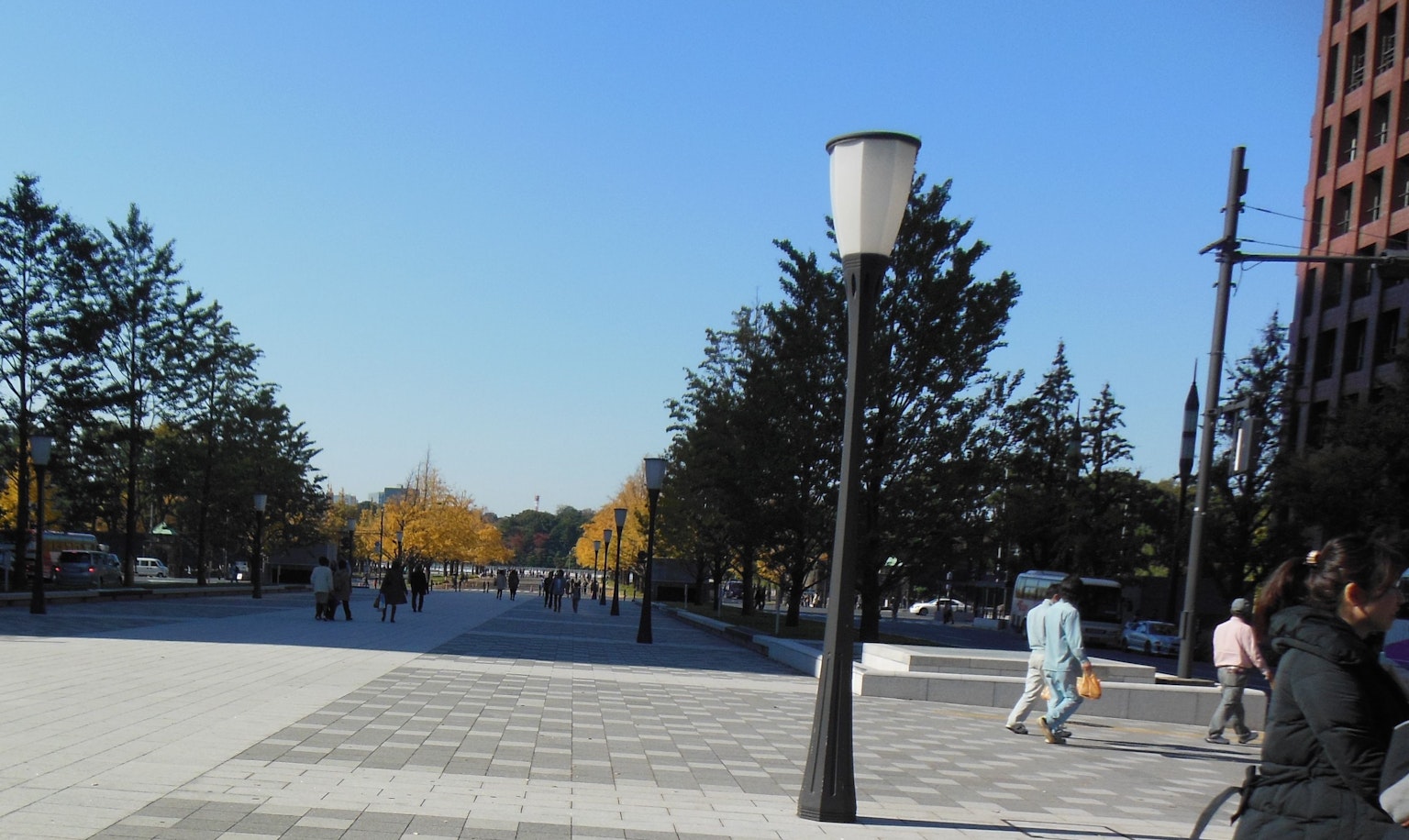 Un large chemin sous un ciel bleu avec des lampadaires et des arbres