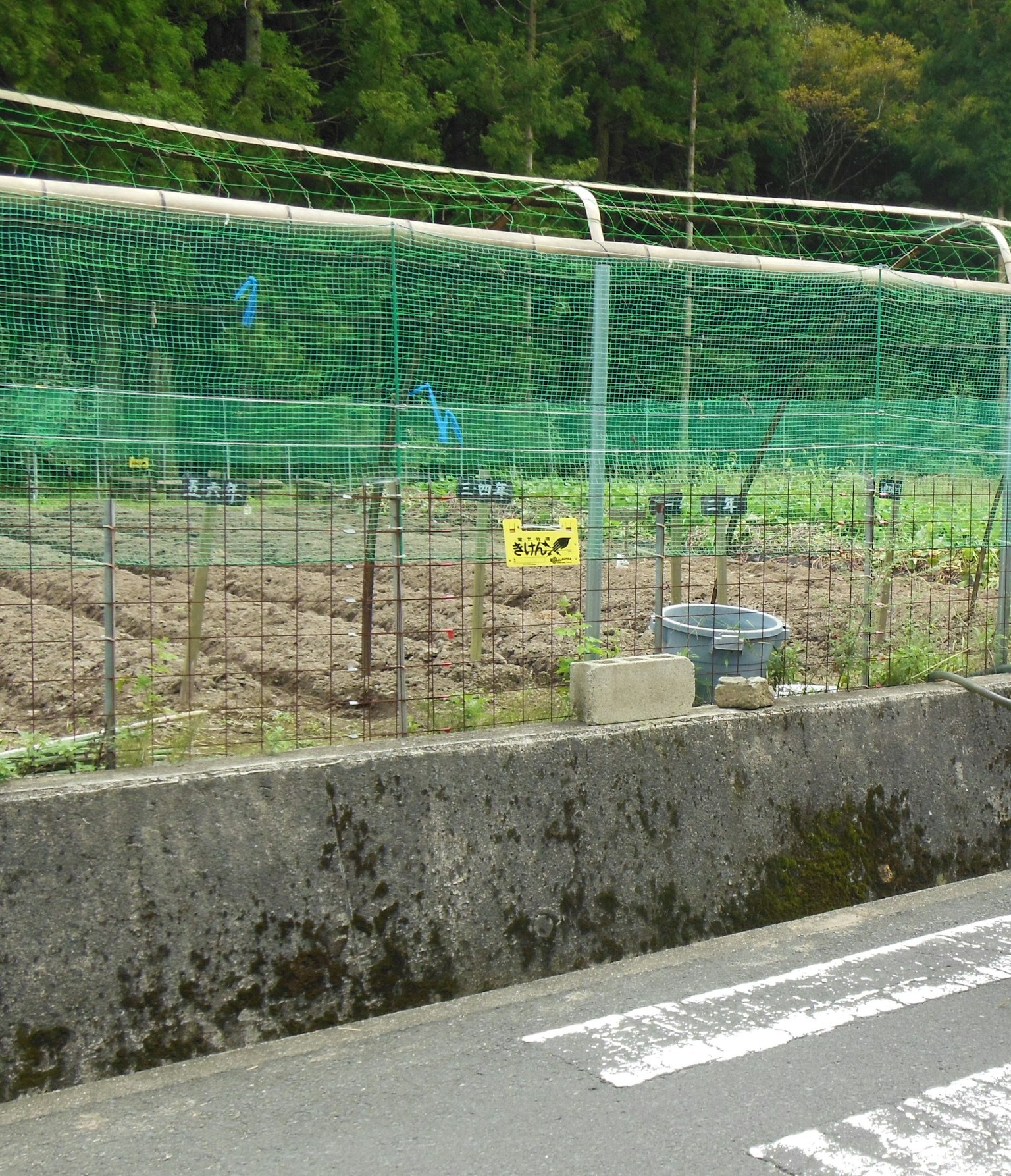 Un jardin clôturé avec un filet vert et une route à proximité