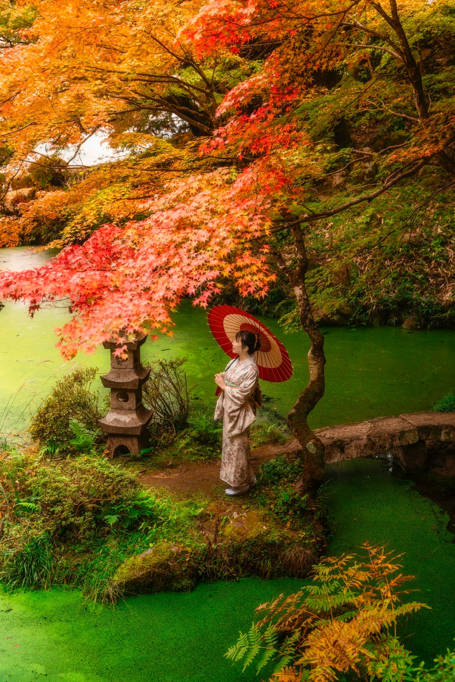 一位穿著傳統服裝的女性手持紅傘站在美麗的秋季花園中