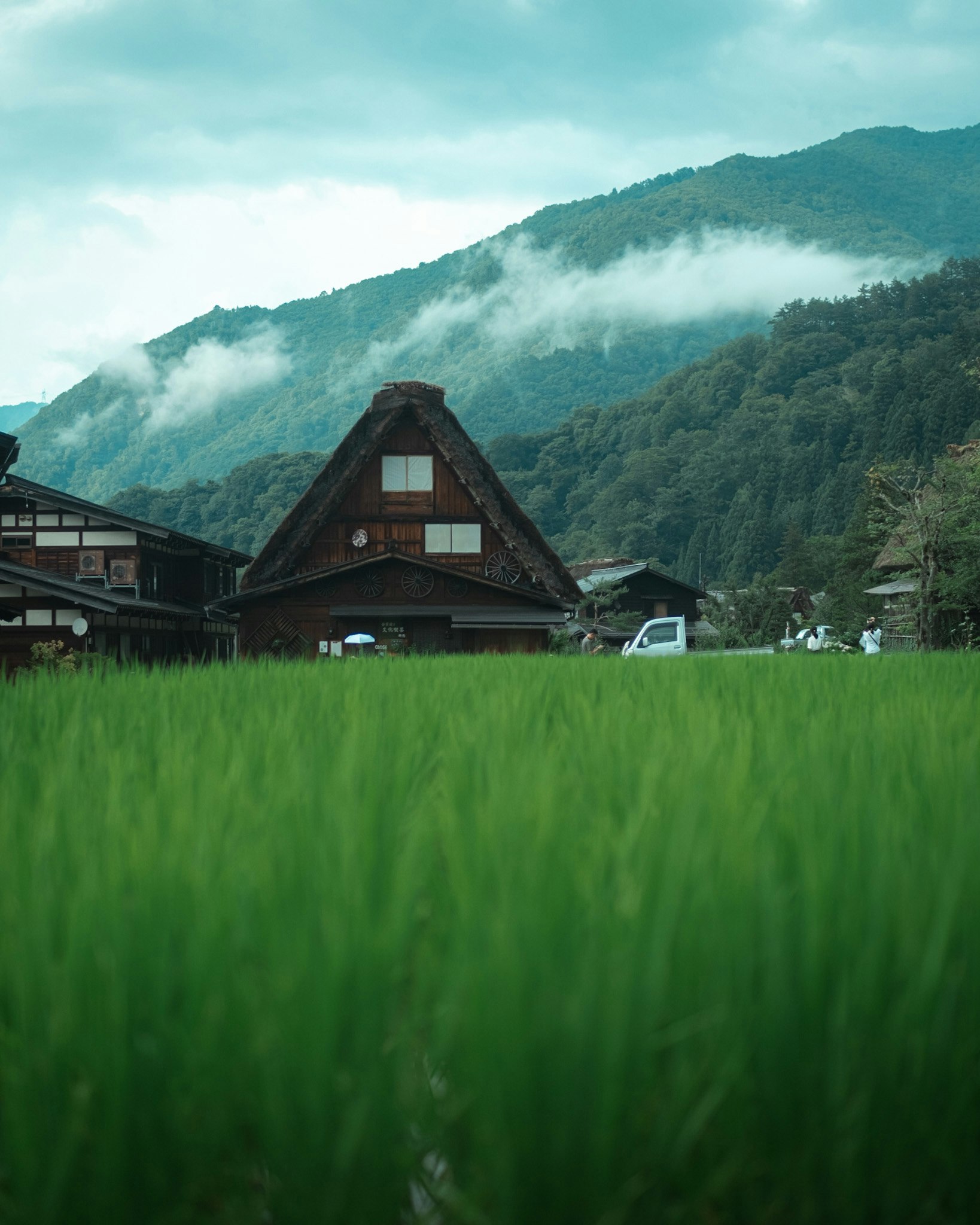 草原の手前に佇む山あいの合掌造りの家並び
