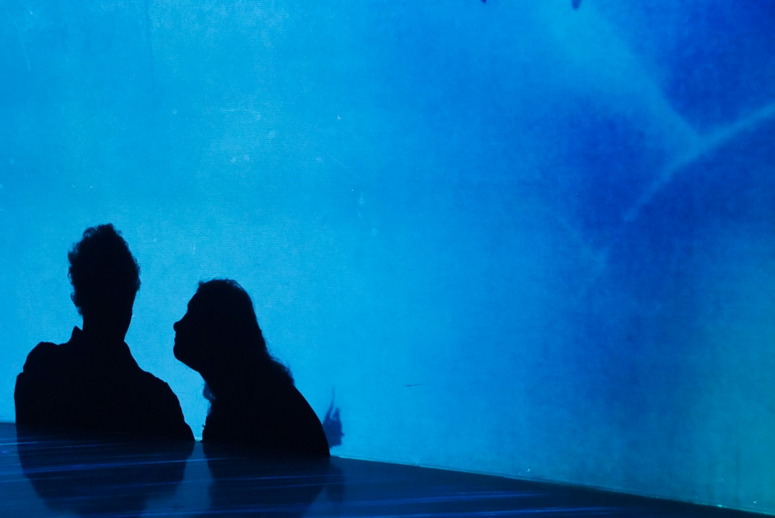 Silhouette of a couple against a blue background
