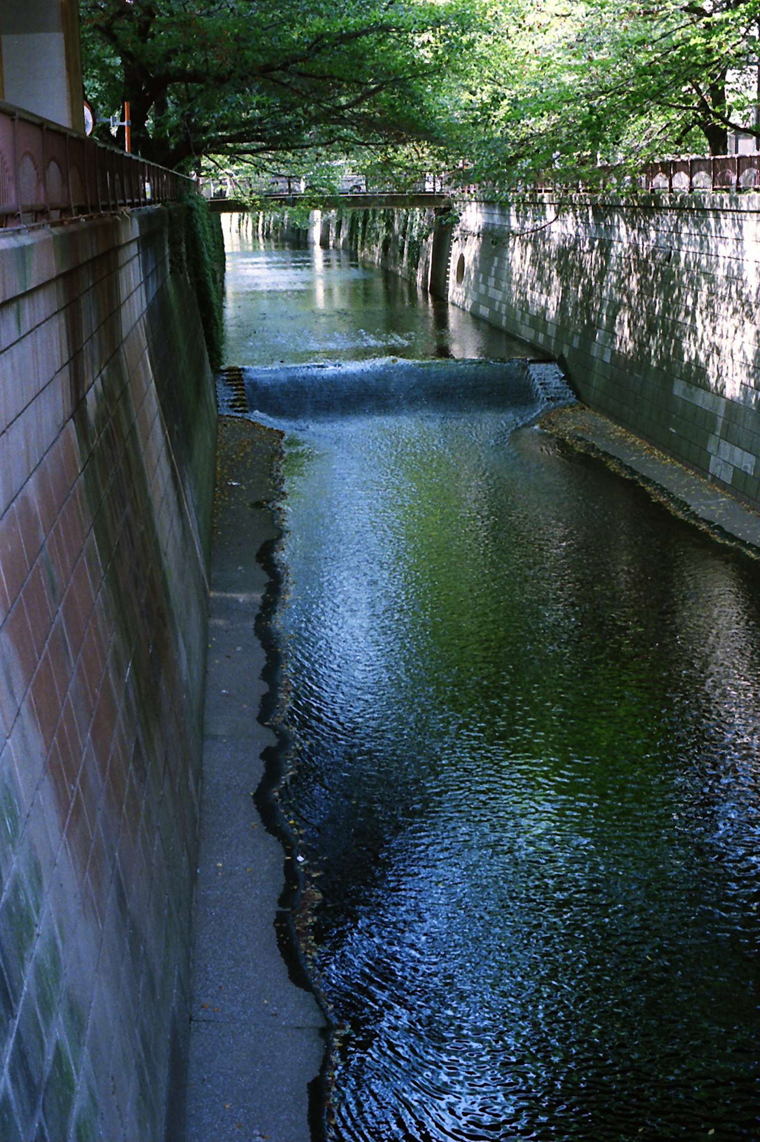 A tranquil stream flowing between concrete banks surrounded by lush greenery