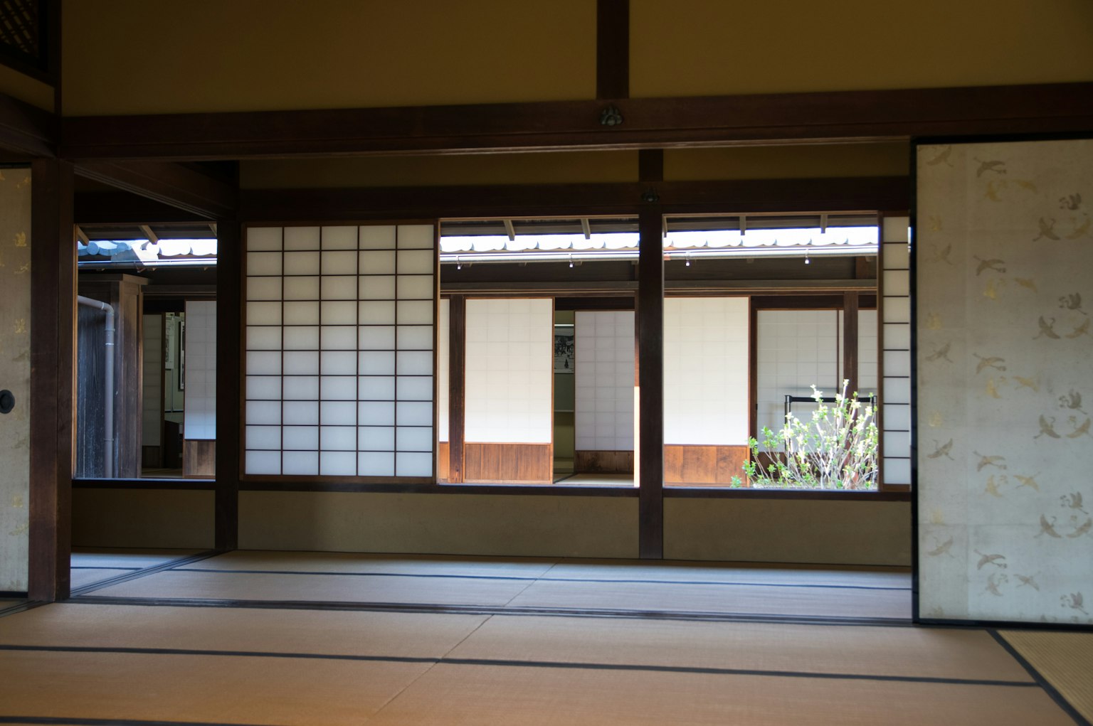 Vista a través de una ventana de una habitación japonesa tradicional con tatami y shoji