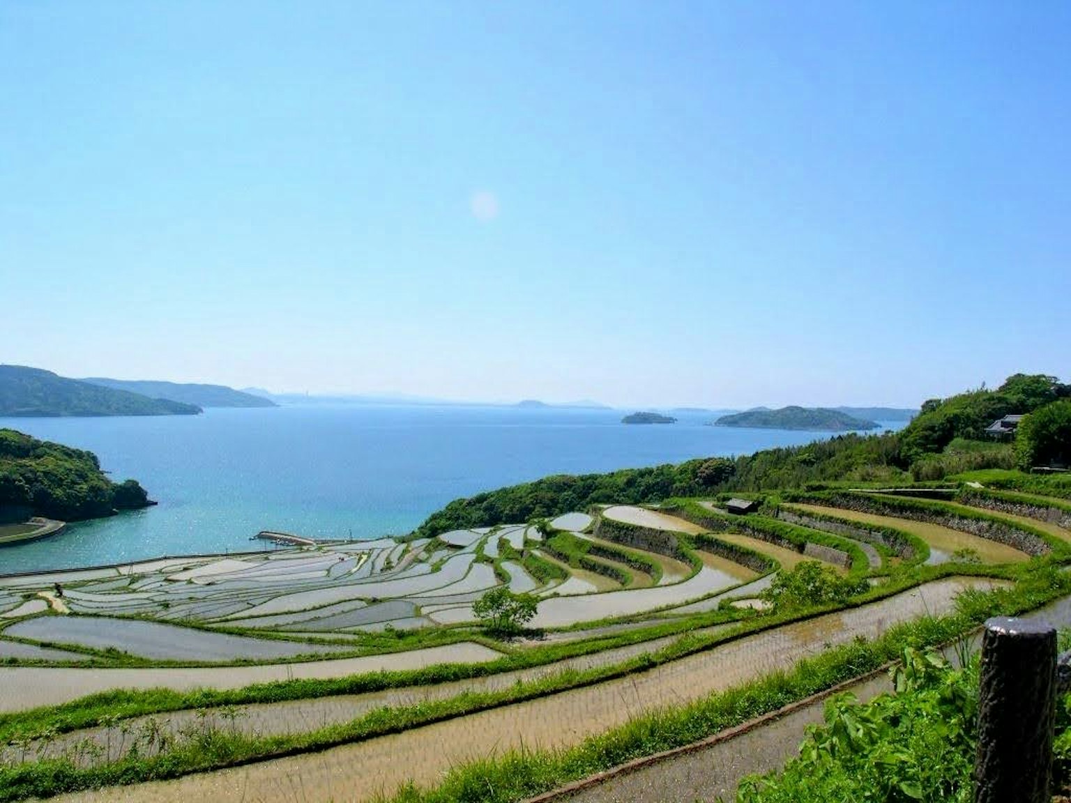 Scenic terraced rice fields overlooking a blue ocean