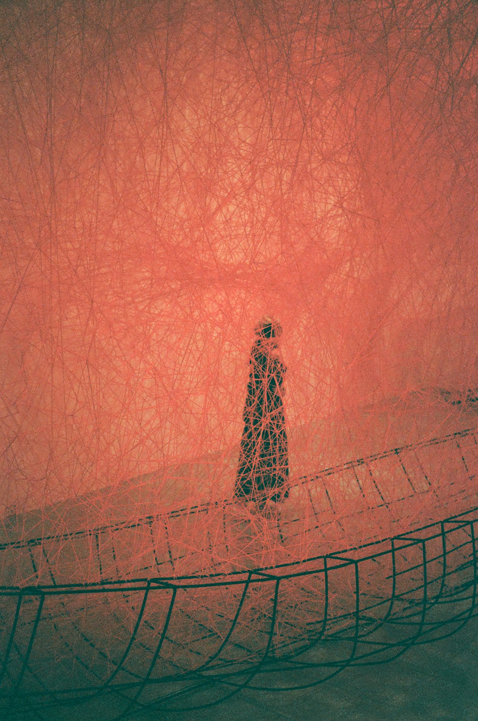 photo-WM0QW6mIg1DFLZ3bhA9K-image