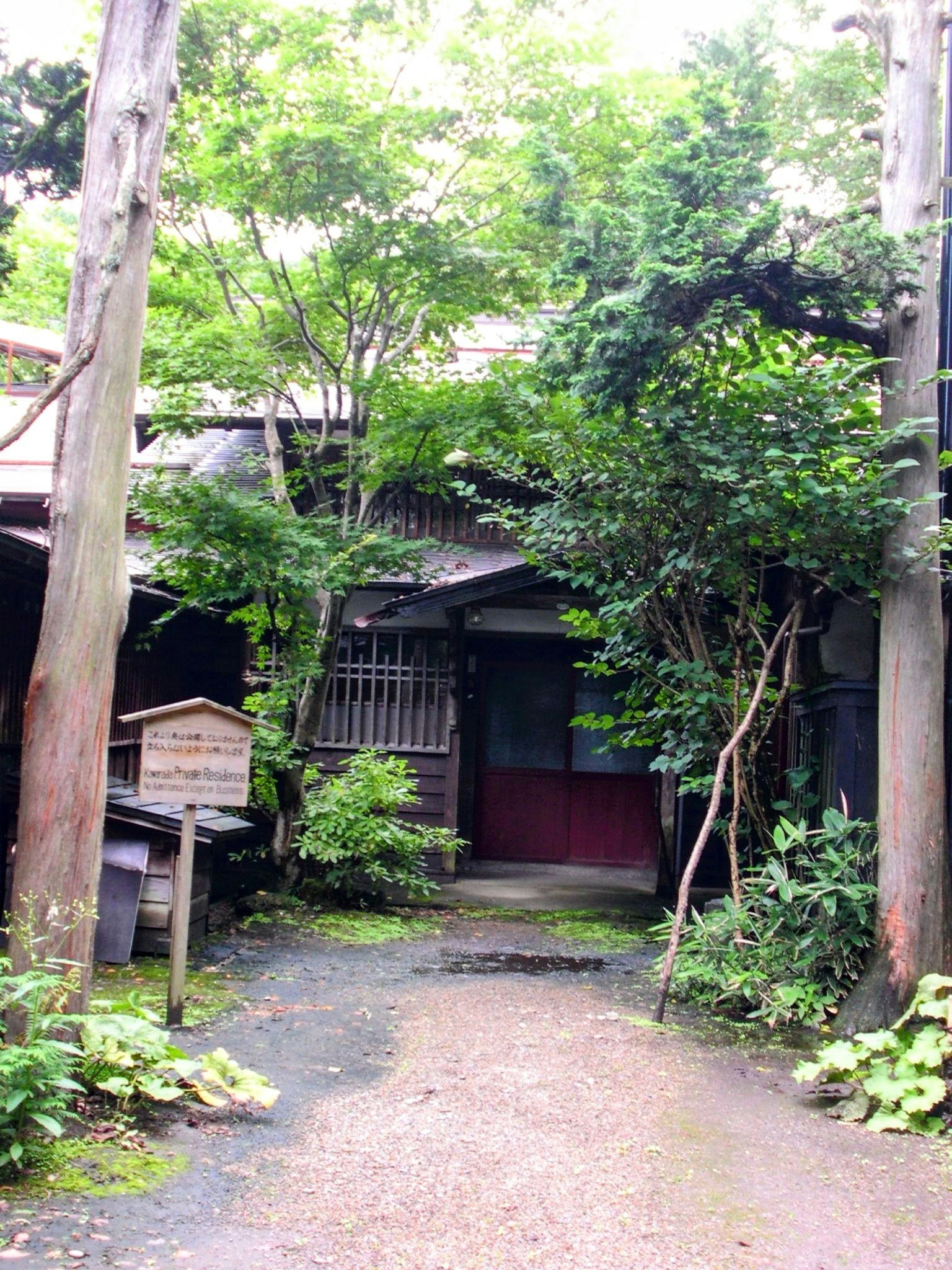 古老日本房屋的入口被绿色植物环绕 植物和树木丰富